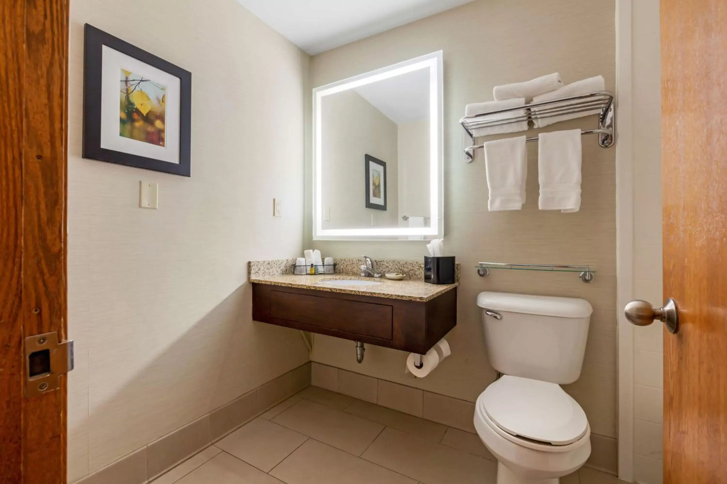 Bathroom in Best Western Plus Dubuque Hotel and Conference Center