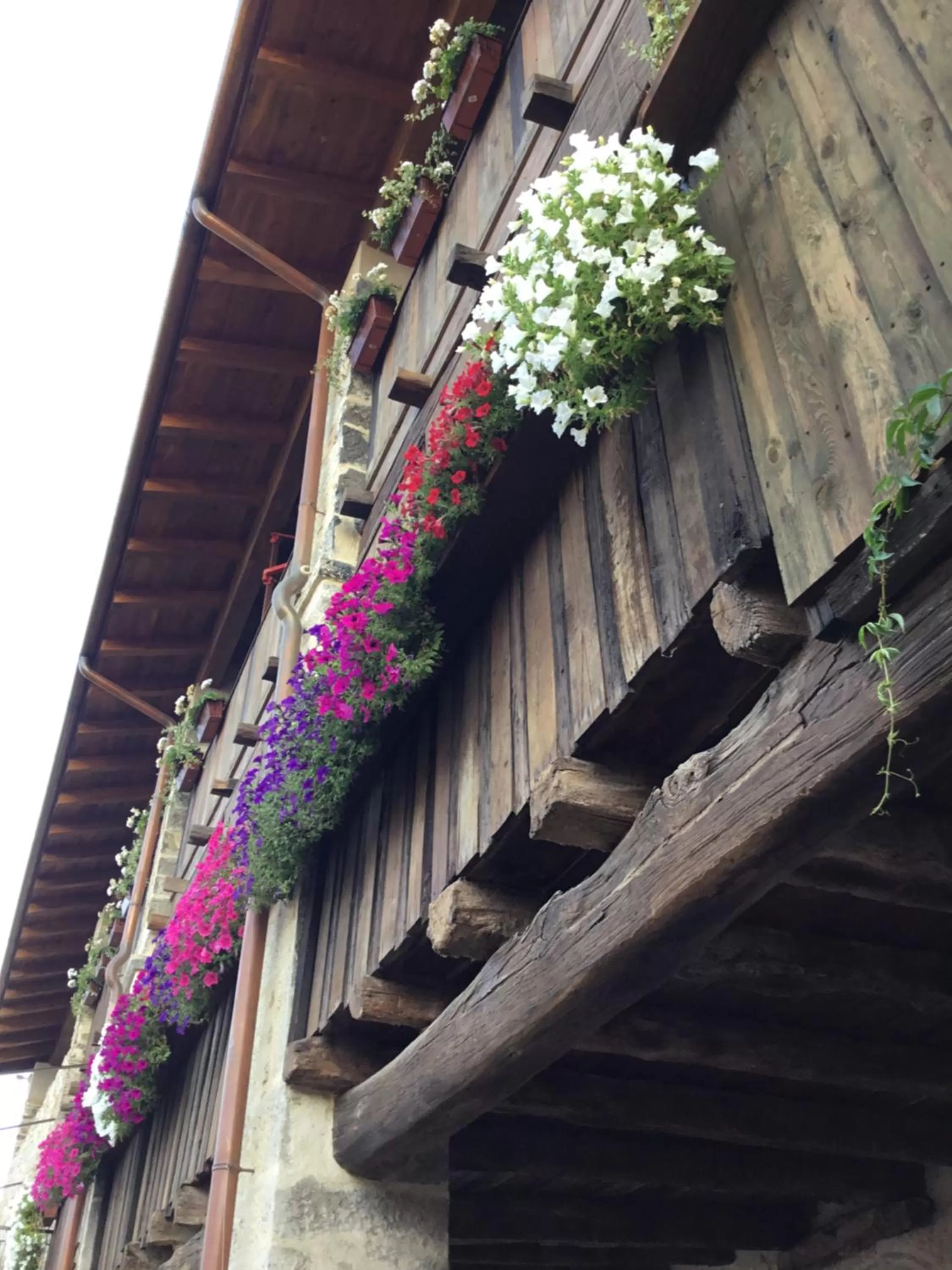 Property building in B&B con SPA il Castello di Lucawest