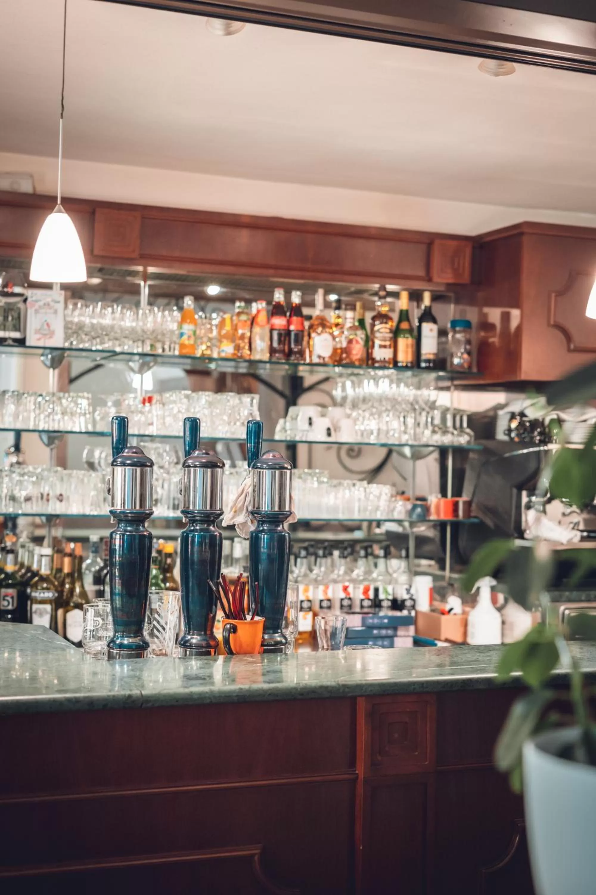 Lounge or bar in Logis Hôtel Vuillot