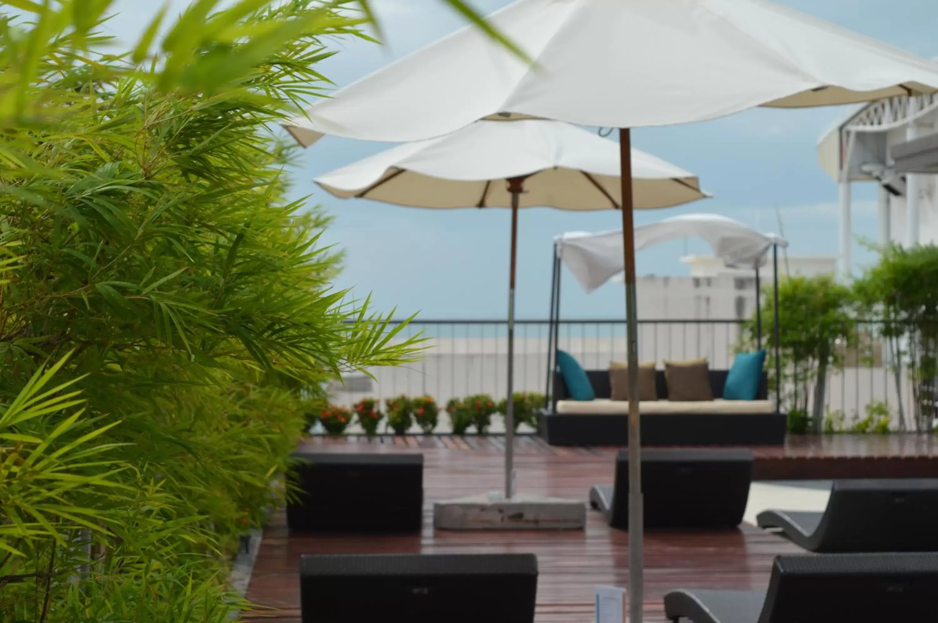 Balcony/Terrace in AYA Boutique Hotel Pattaya - SHA Plus