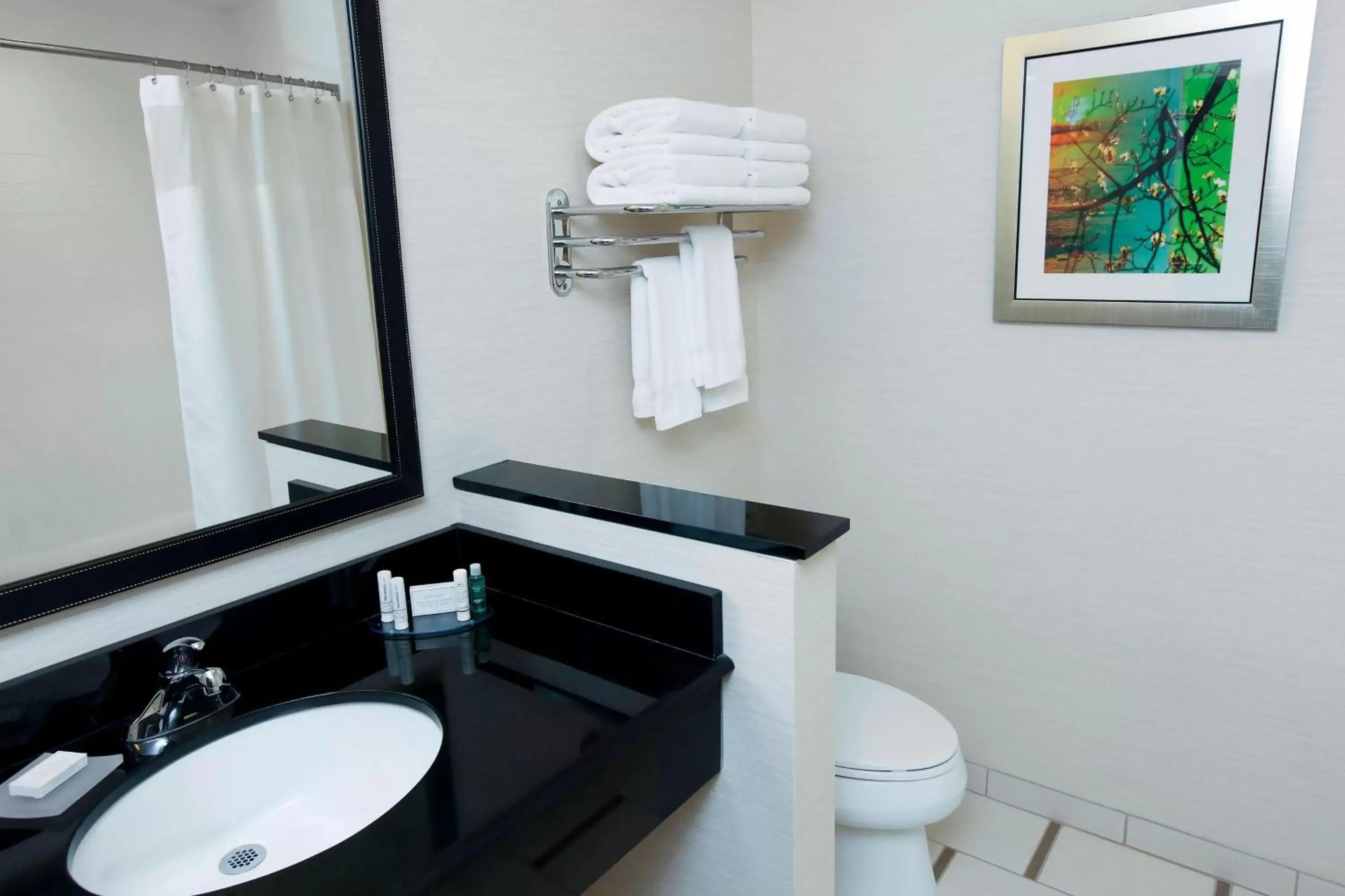 Bathroom in Fairfield Inn & Suites by Marriott Omaha Papillion