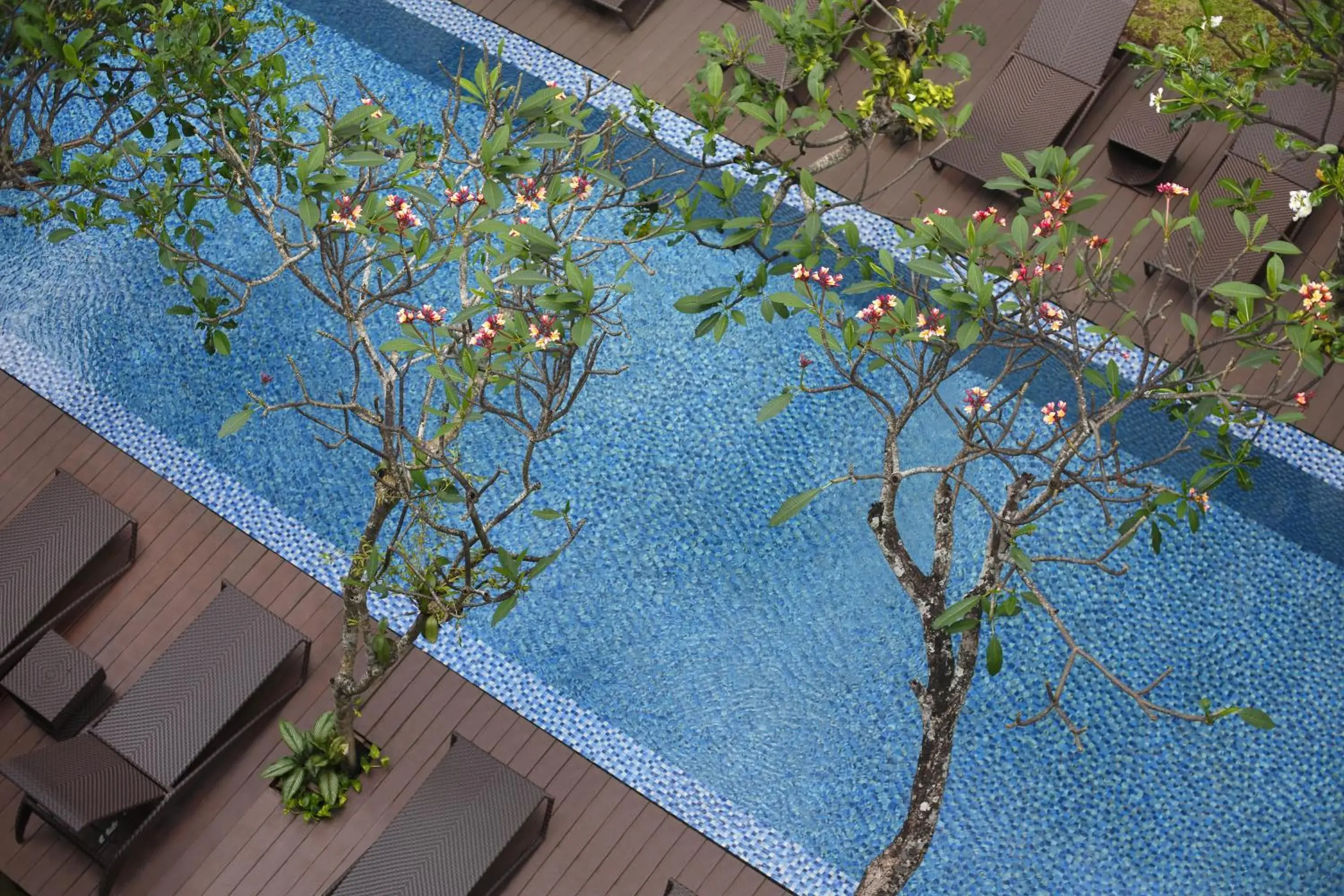 Pool view, Swimming Pool in Hotel Santika Kuta Bali