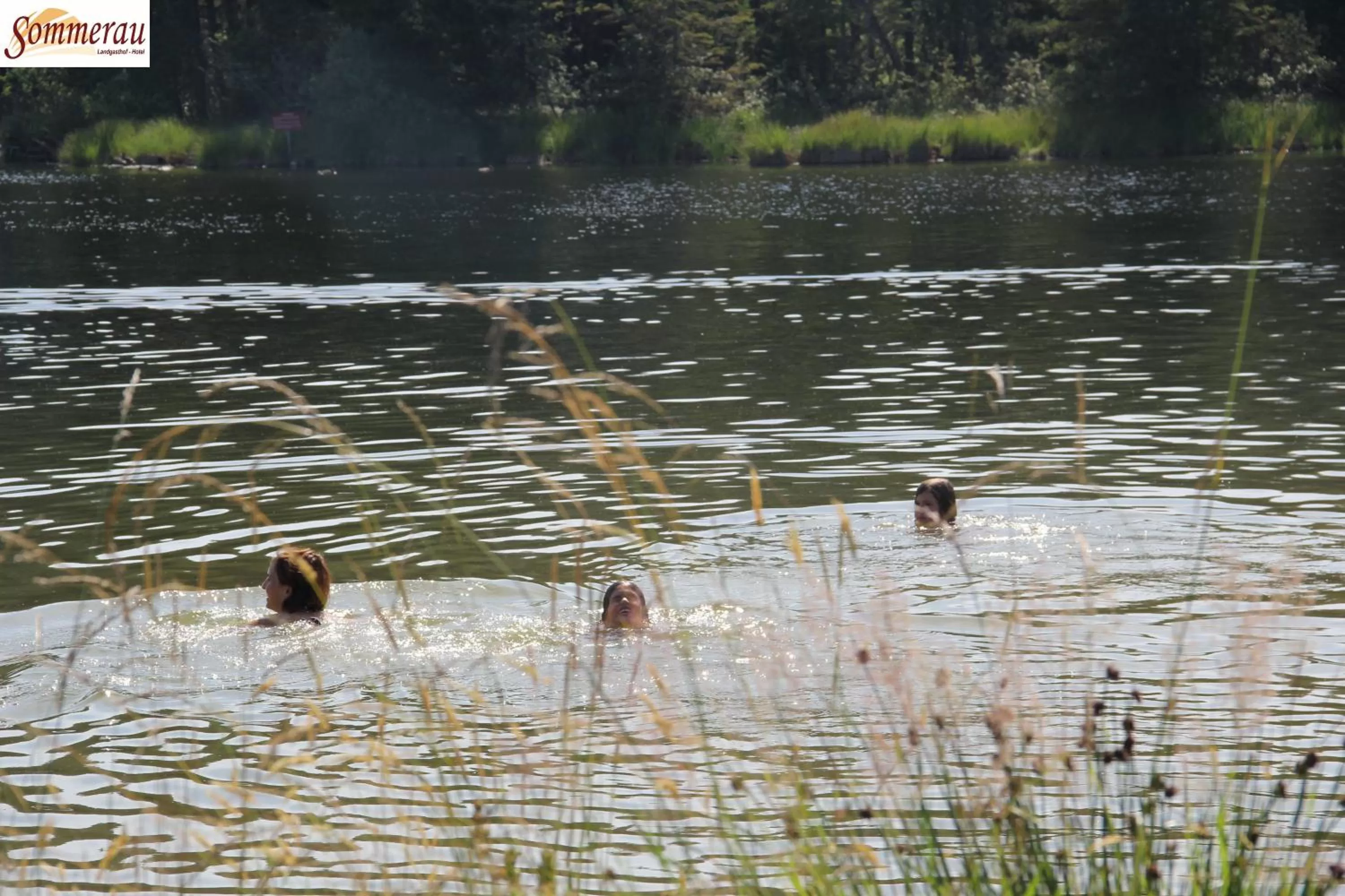 Natural landscape in Landhaus Sommerau