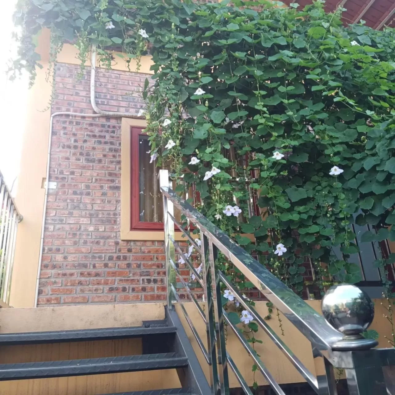 Property building in Green Space Homestay