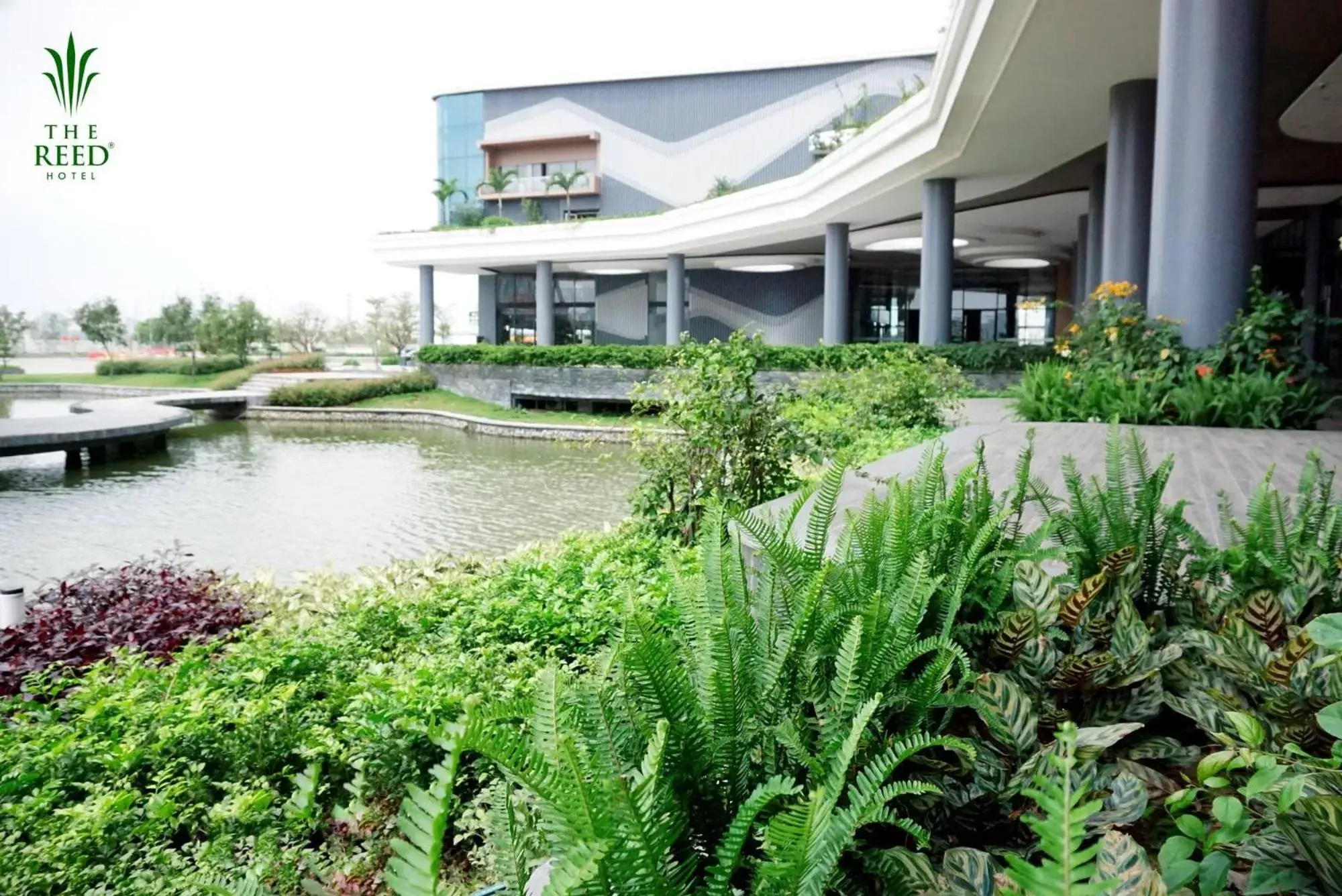 Natural landscape, Property Building in The Reed Hotel