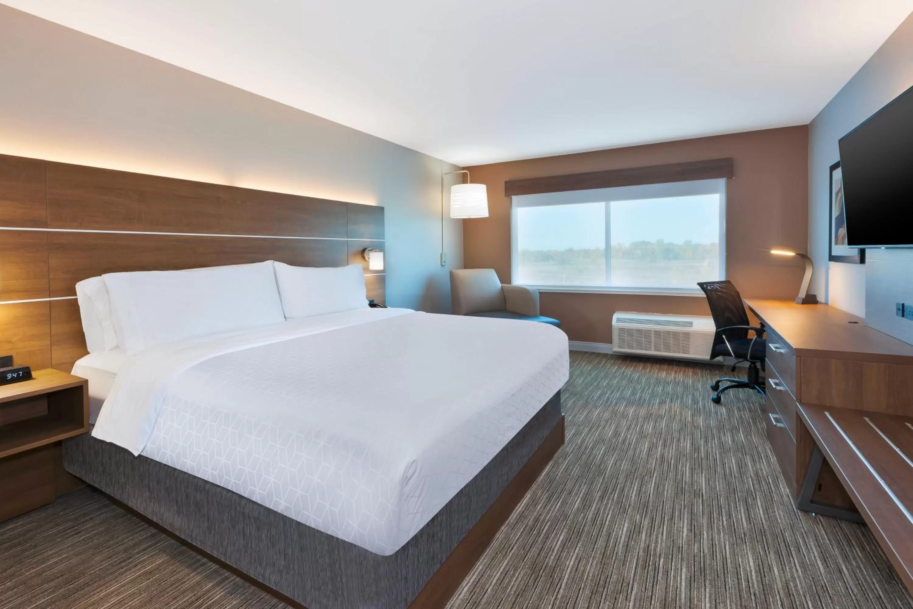 Photo of the whole room, Bed in Holiday Inn Express & Suites - Cedar Springs - Grand Rapids N by IHG