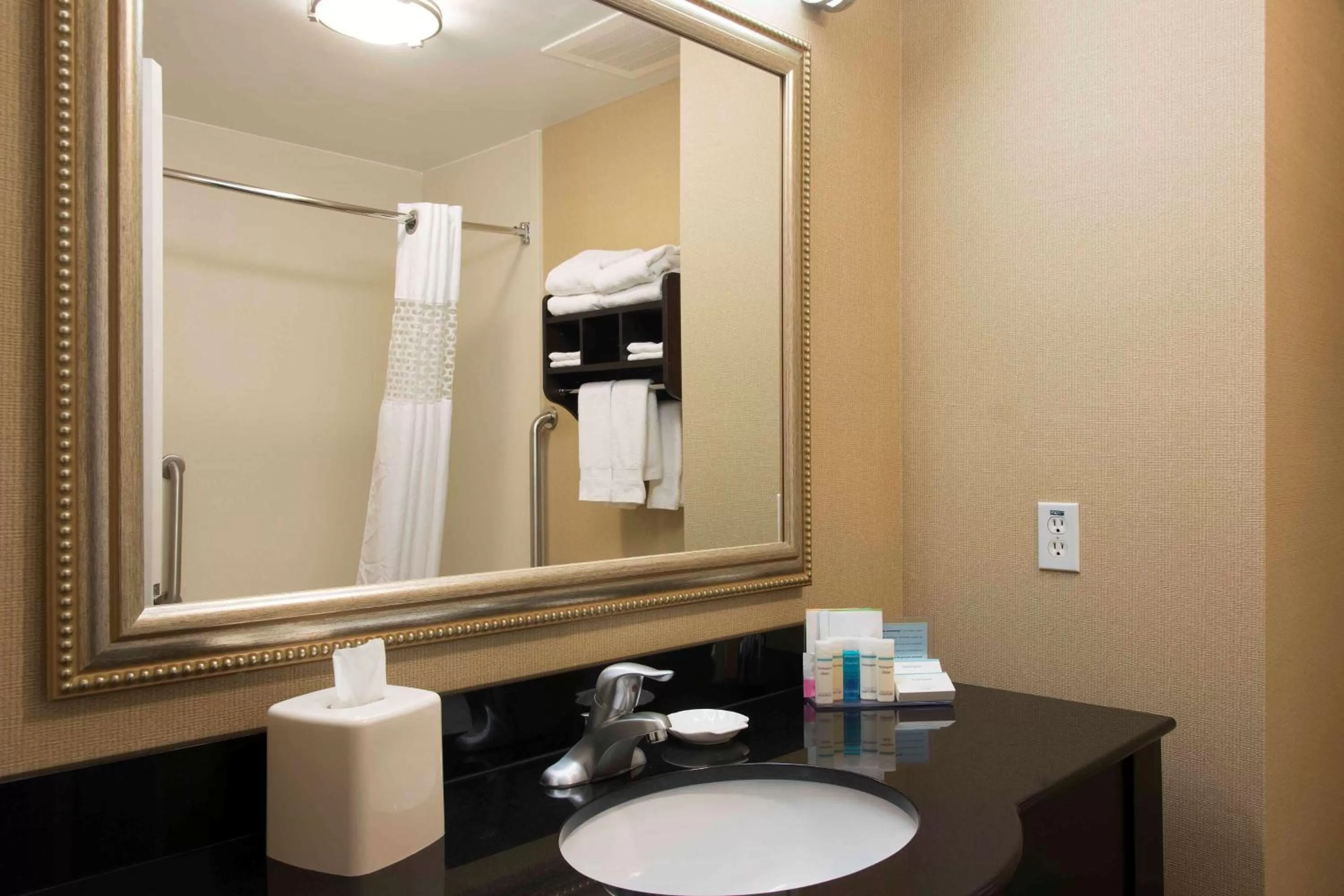 Bathroom in Hampton Inn & Suites Danville