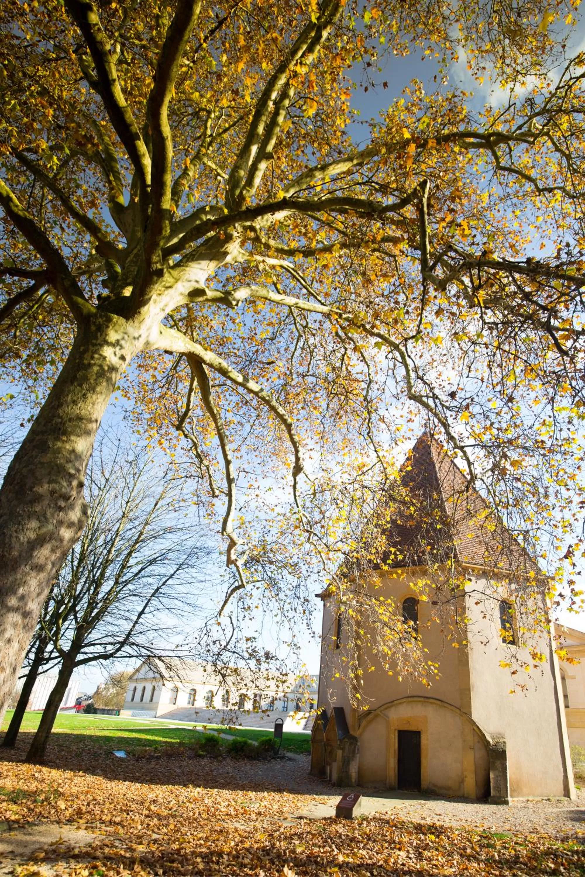 Neighbourhood in La Citadelle Hotel Metz - MGallery Collection