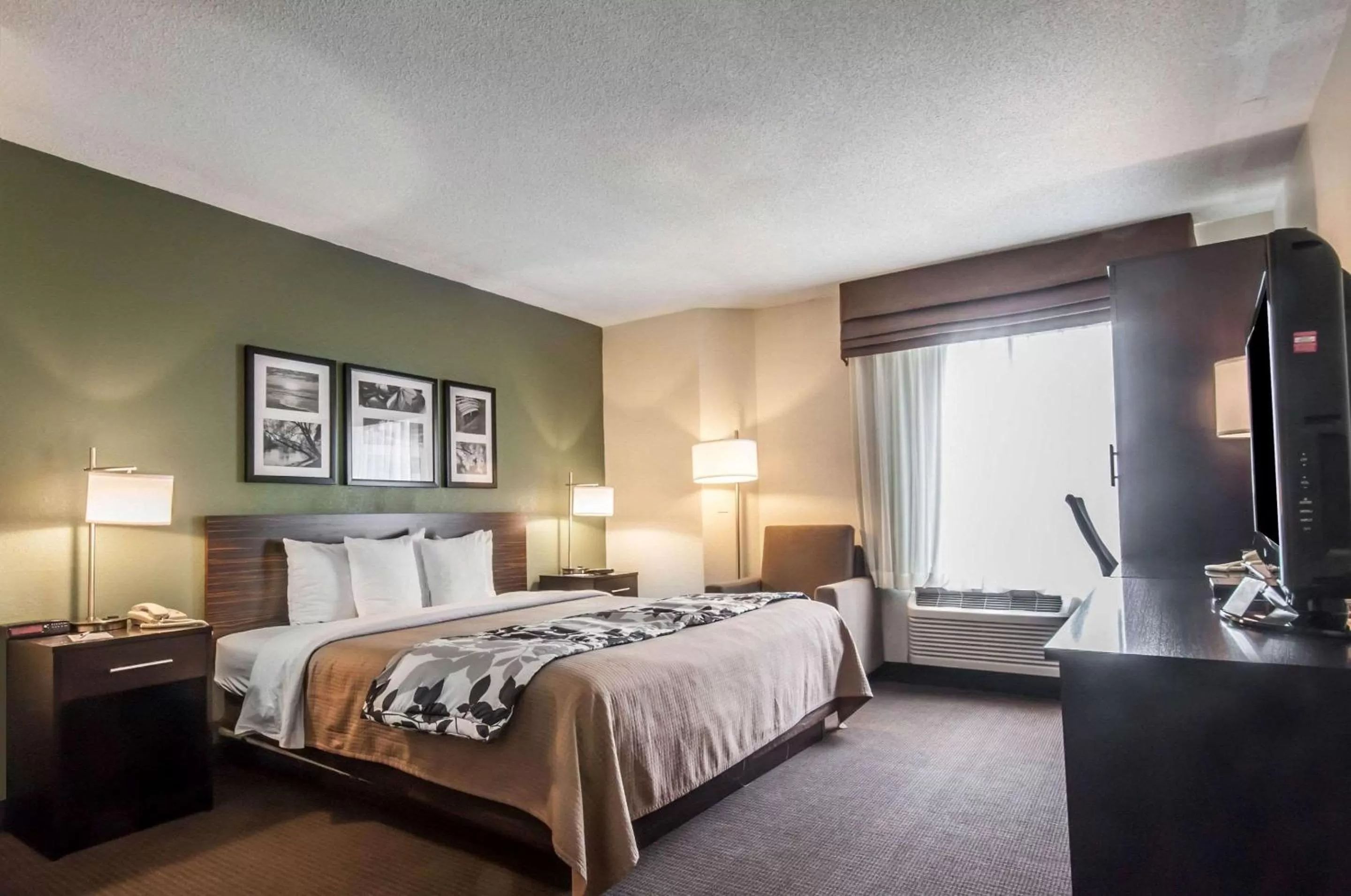 Photo of the whole room, Bed in Sleep Inn Cinnaminson - Philadelphia East