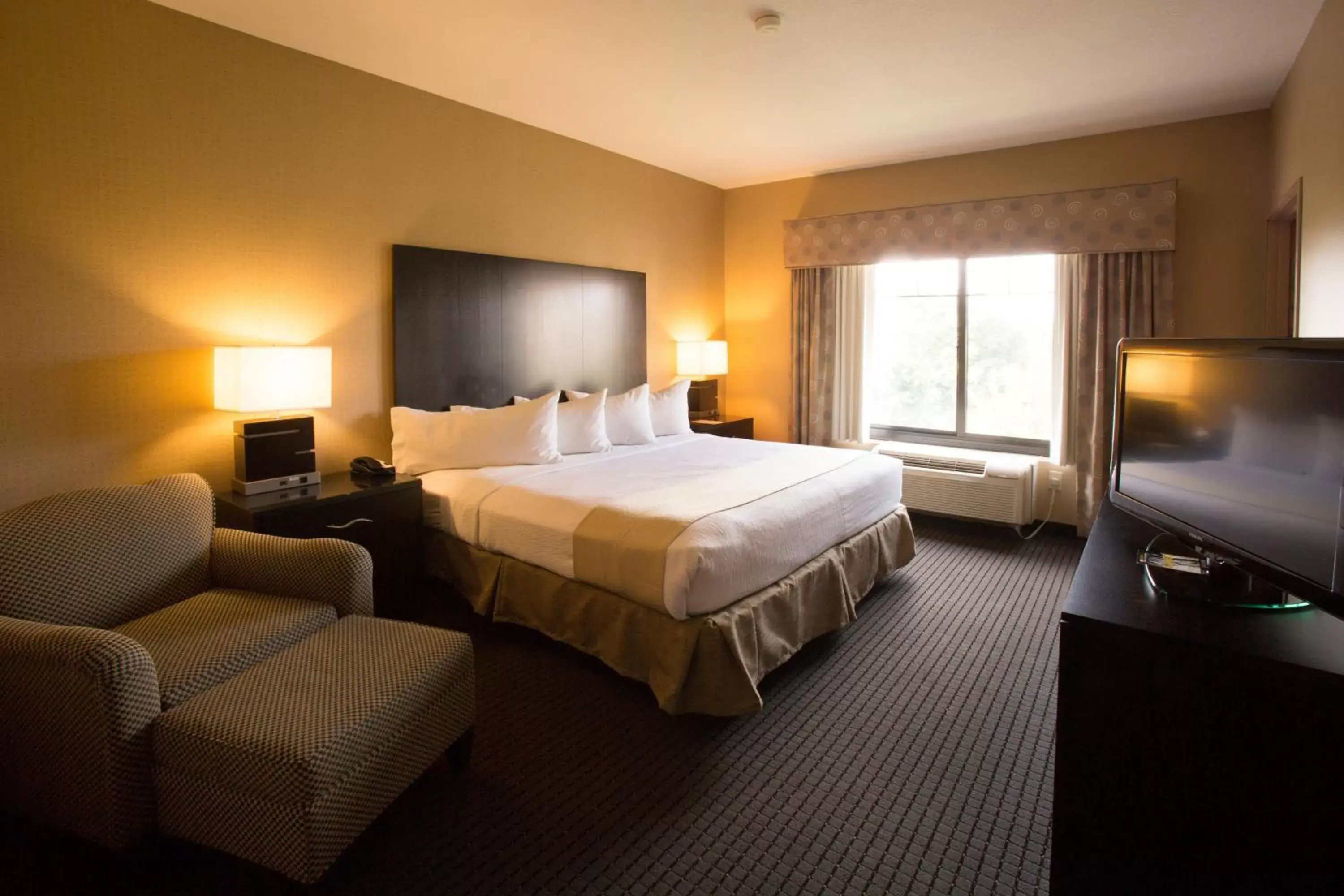 Photo of the whole room, Bed in Holiday Inn St. Paul Northeast - Lake Elmo, an IHG Hotel