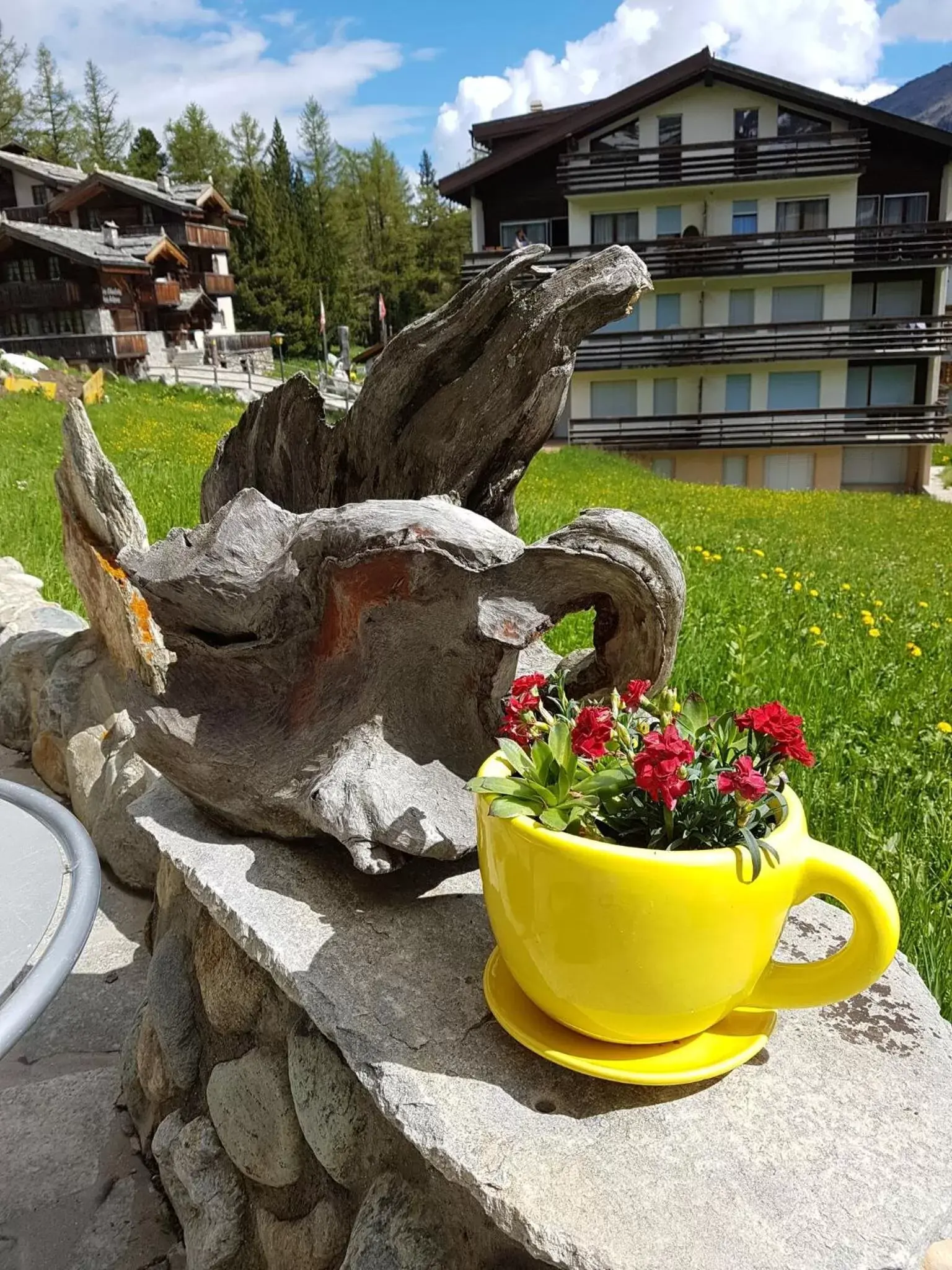 Garden in Hotel Alpenperle