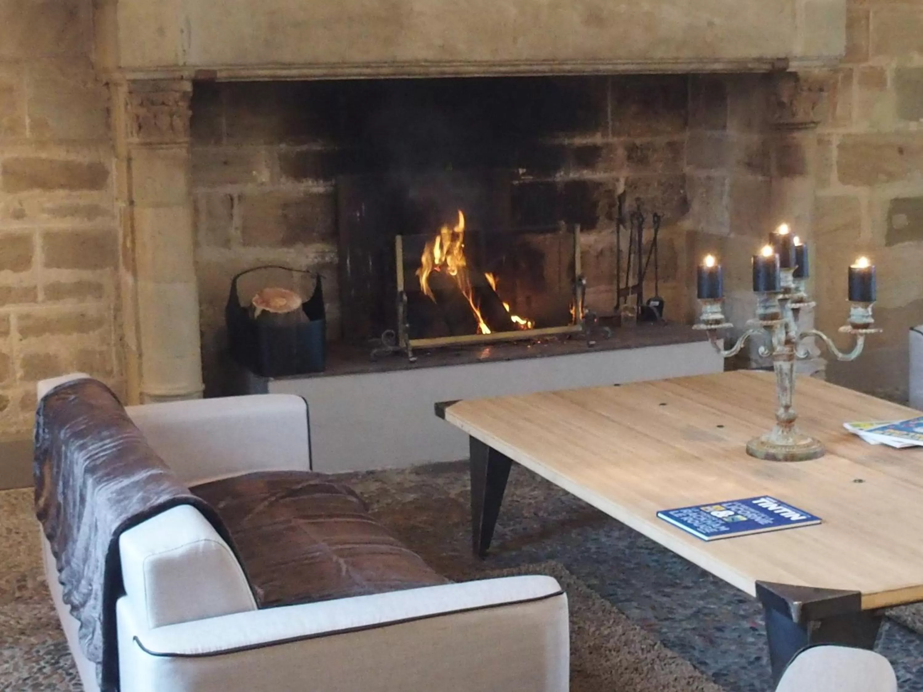 Communal lounge/ TV room in Hôtel Château de Lacan