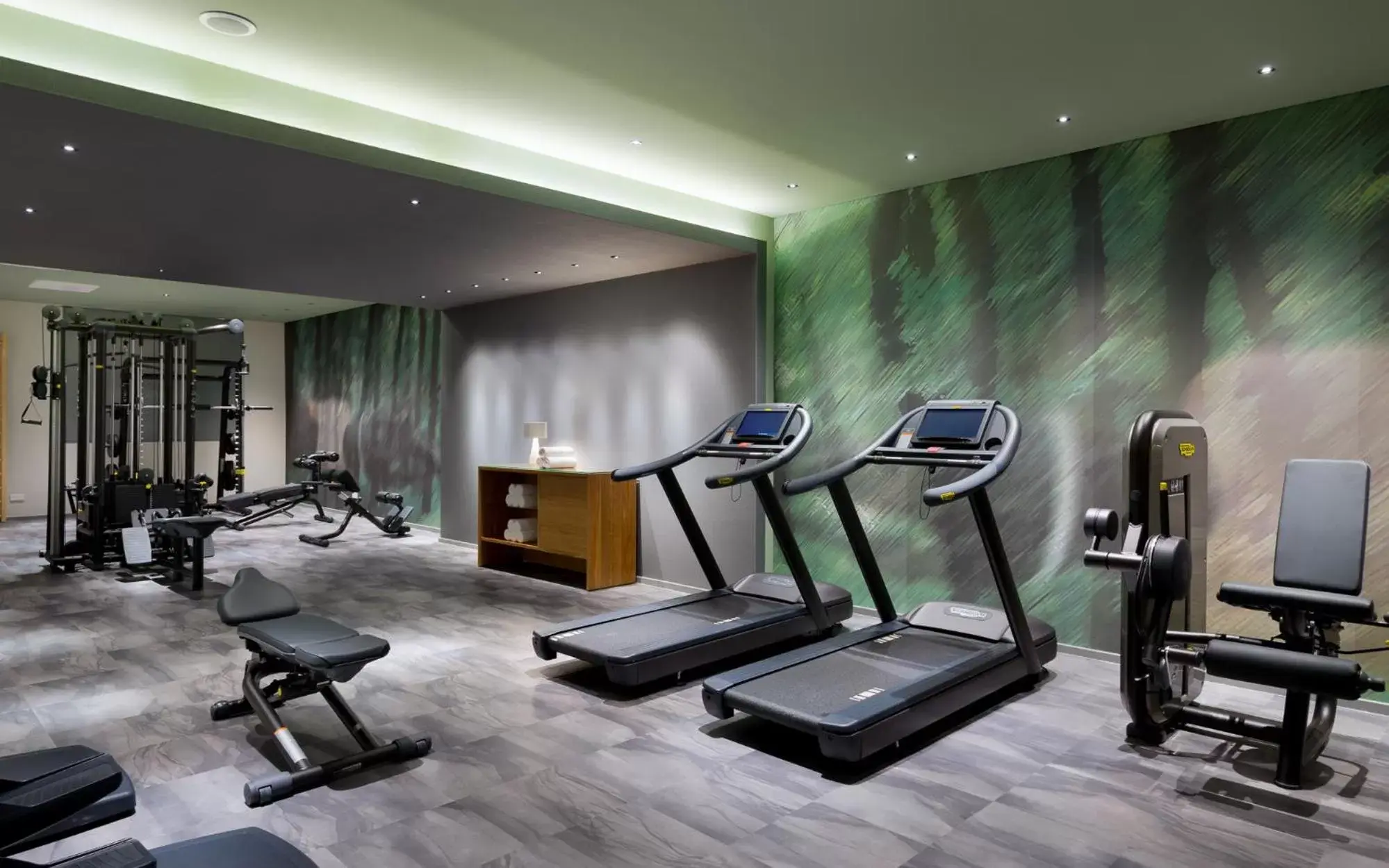 Fitness centre/facilities, Fitness Center/Facilities in Radisson Blu Hotel Lietuva