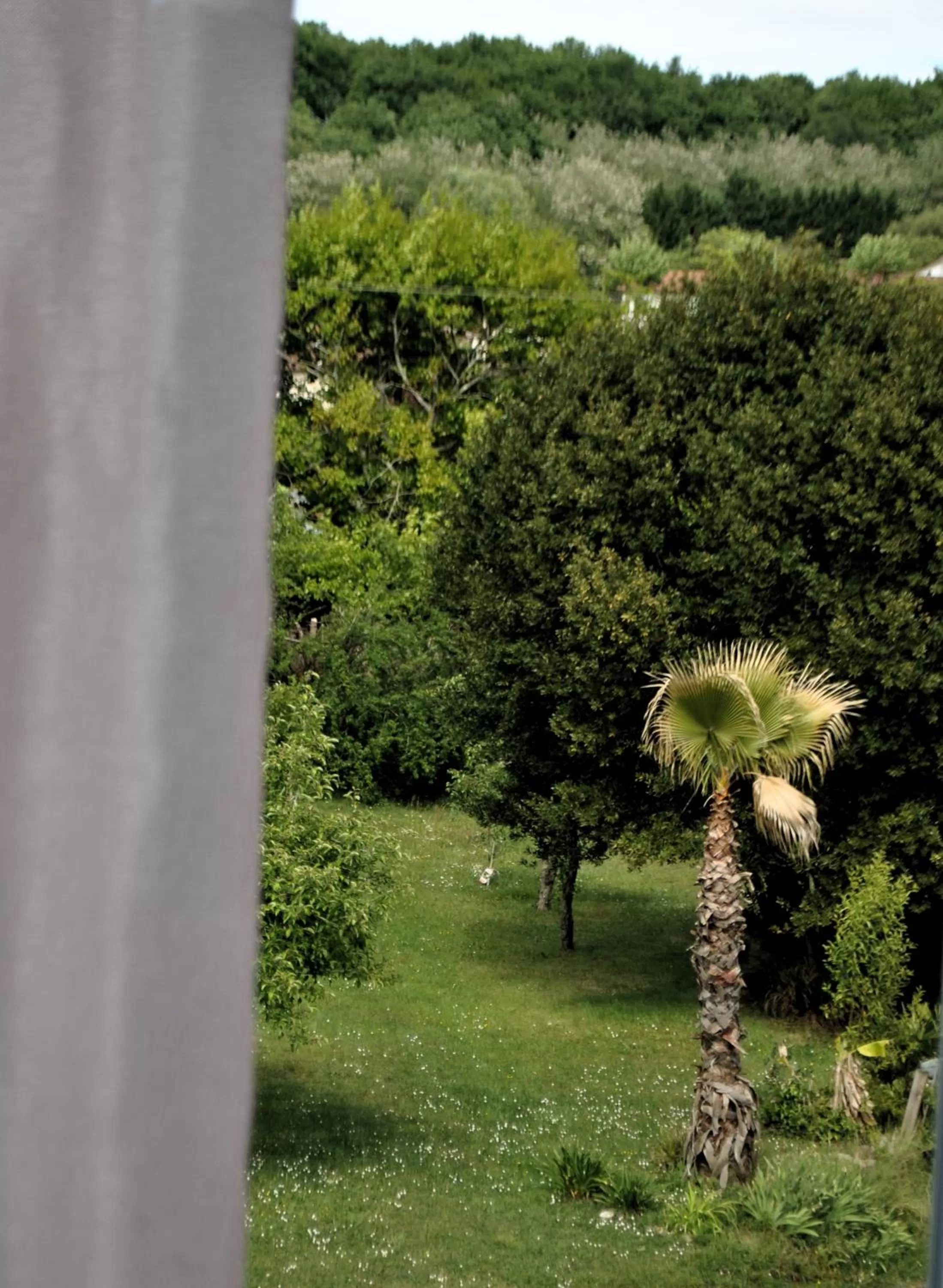 Garden view in Villa Hortebise