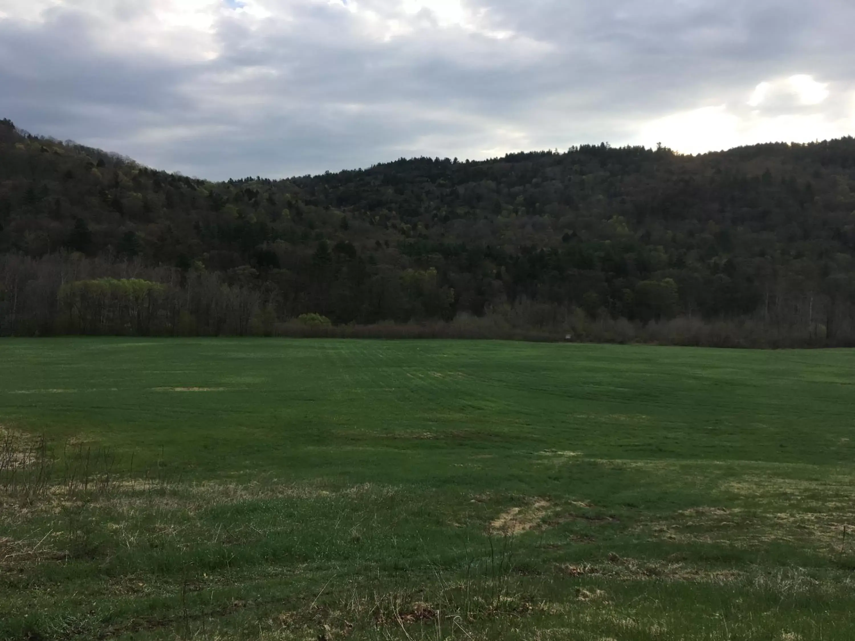 Natural landscape in The Lodge at West River