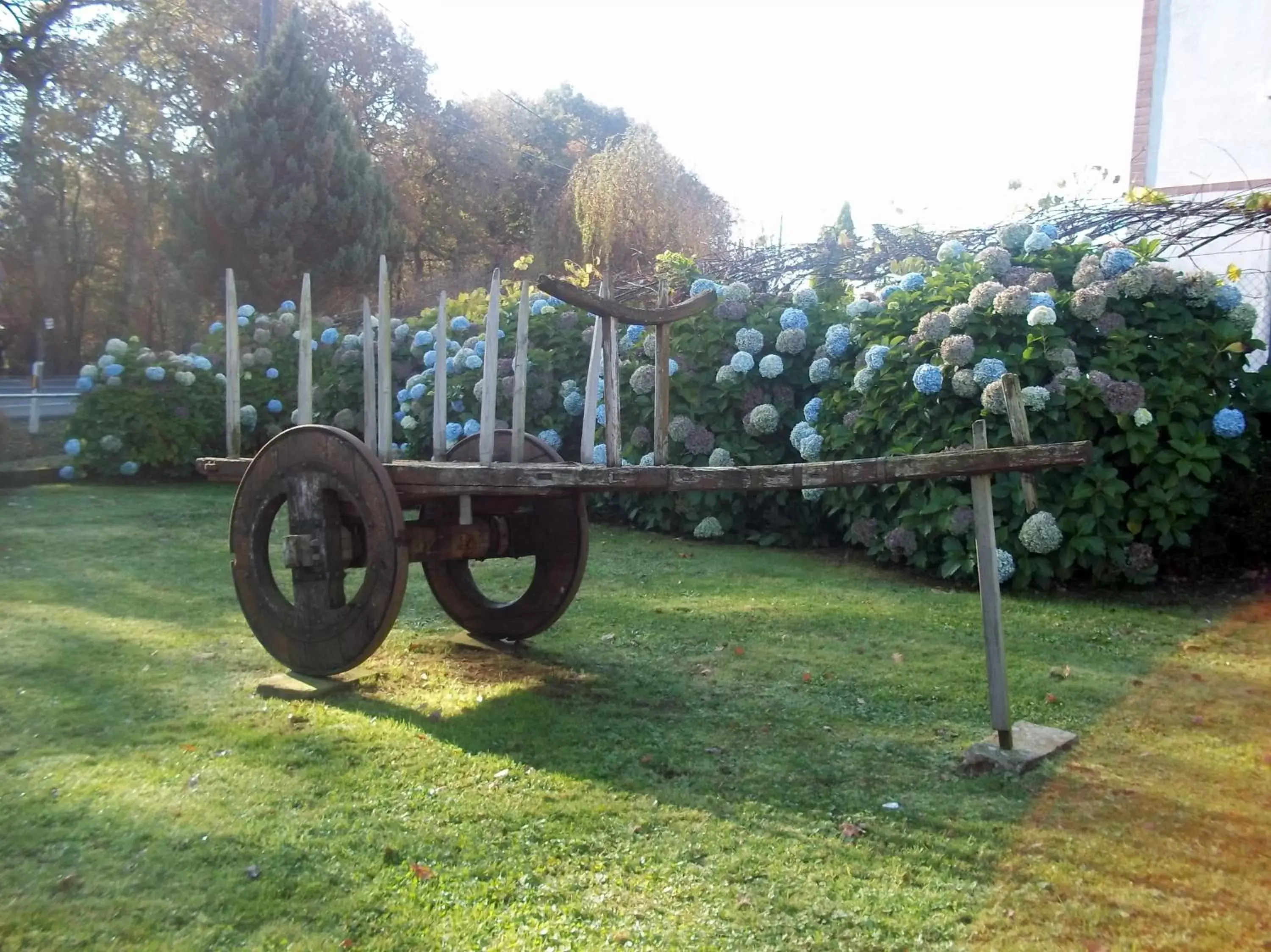 Garden in Hotel Suiza