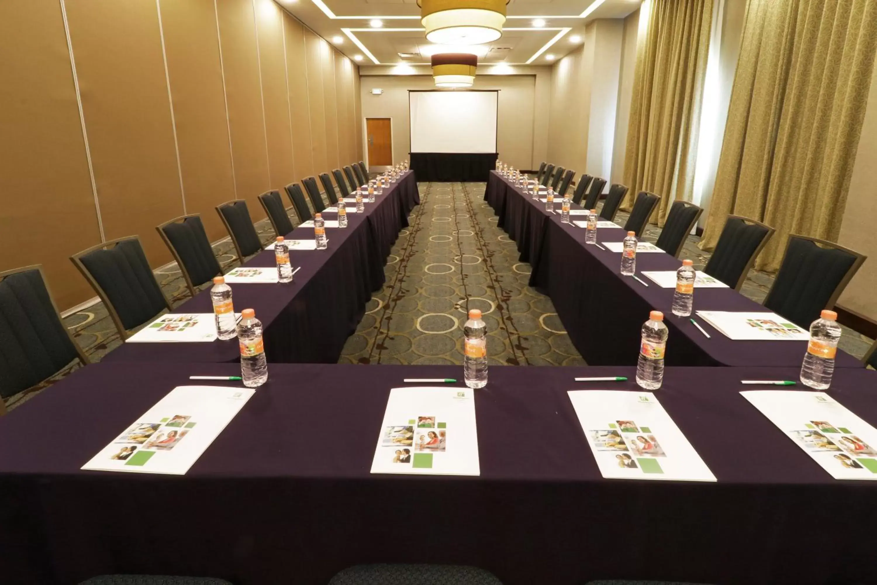Meeting/conference room, Business Area/Conference Room in Holiday Inn Hotel & Suites Hermosillo Aeropuerto, an IHG Hotel