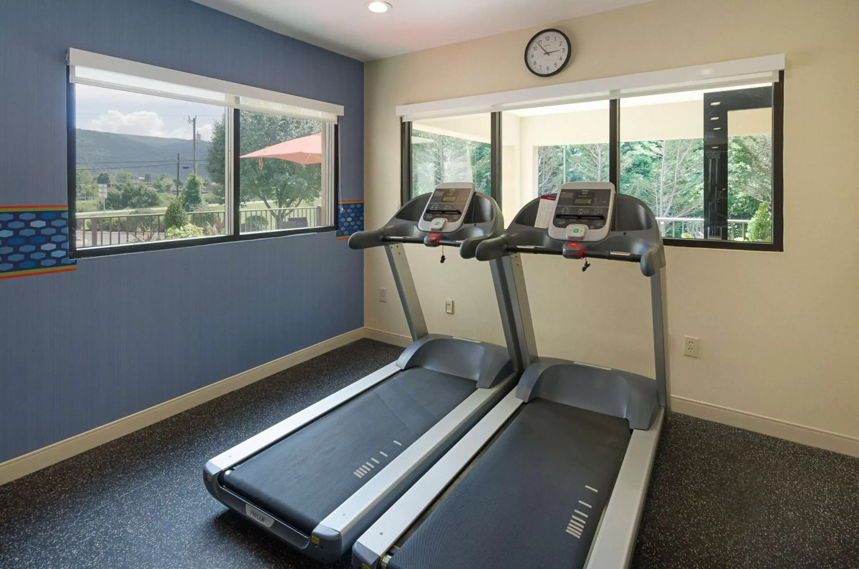 Fitness centre/facilities, Fitness Center/Facilities in Hampton Inn By Hilton Covington VA