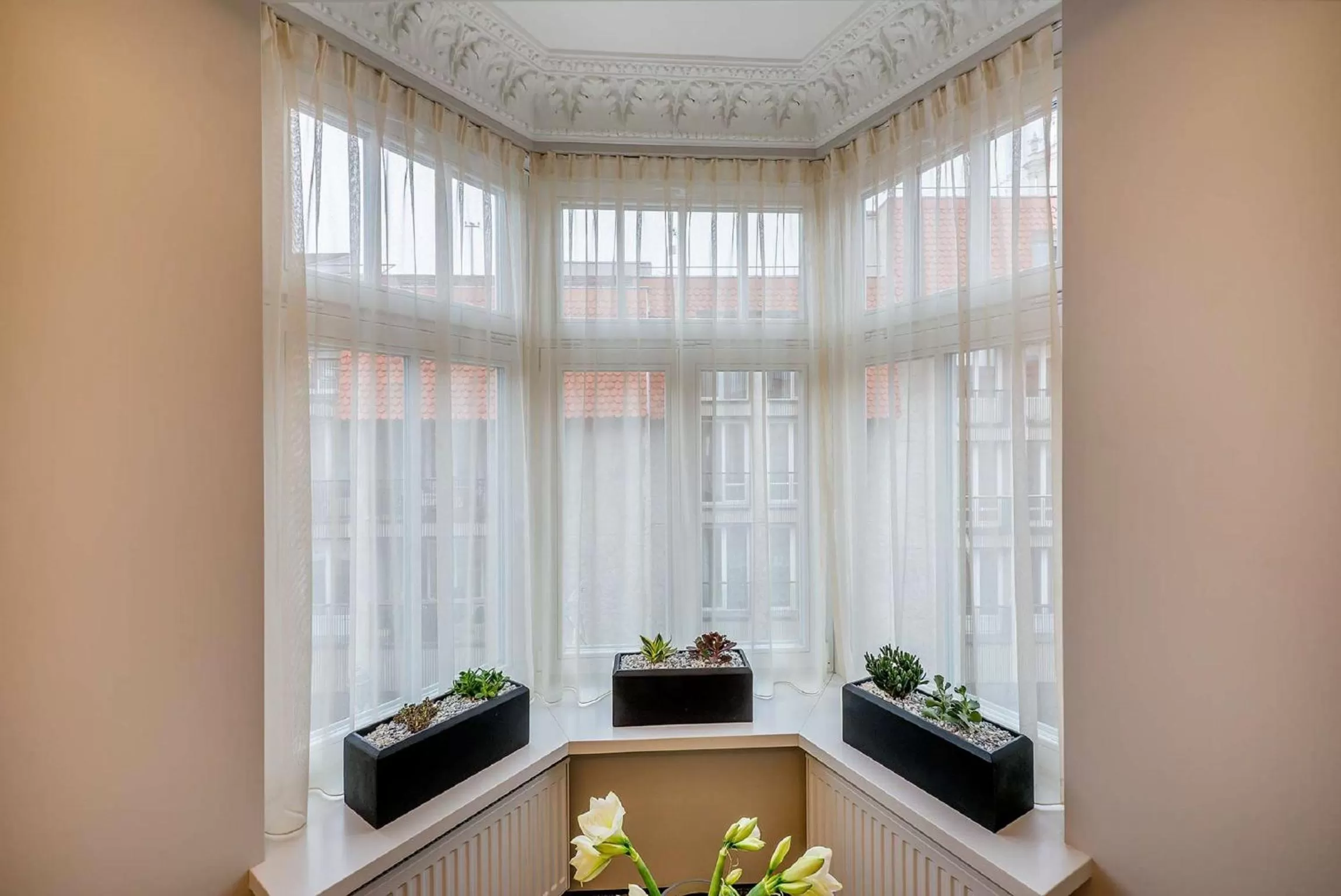 Street view in Artagonist Art Hotel