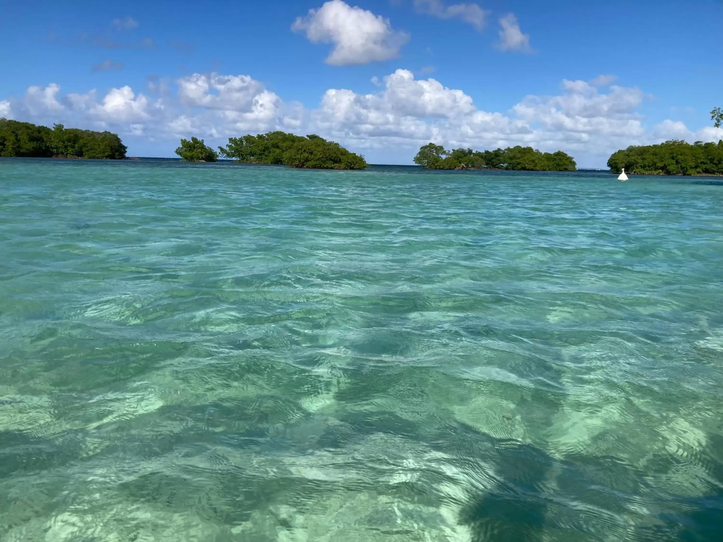 Diving, Natural Landscape in Habitation Saint Charles - Hôtel de Charme & Spa