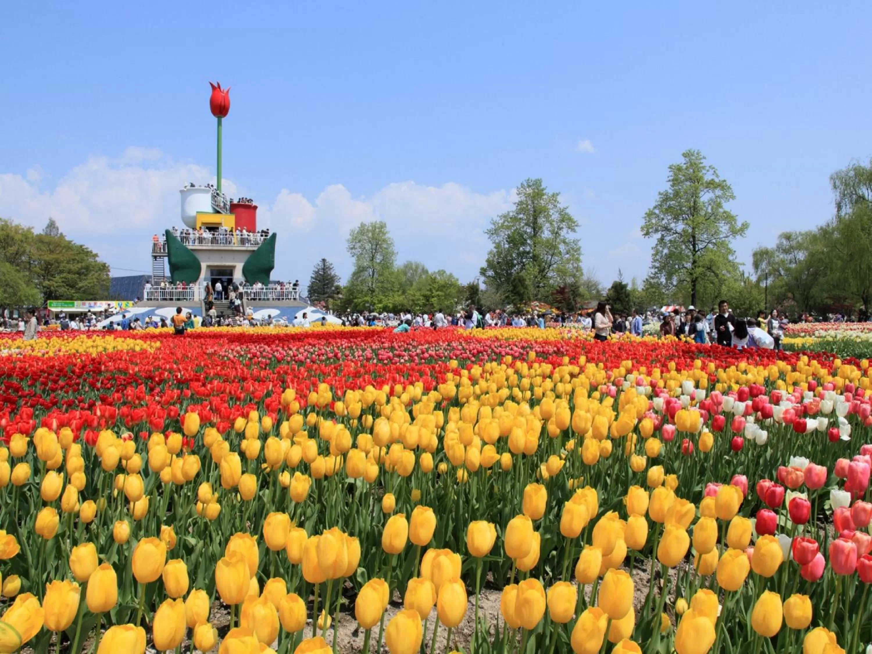 Nearby landmark in APA Hotel Takaoka Marunouchi