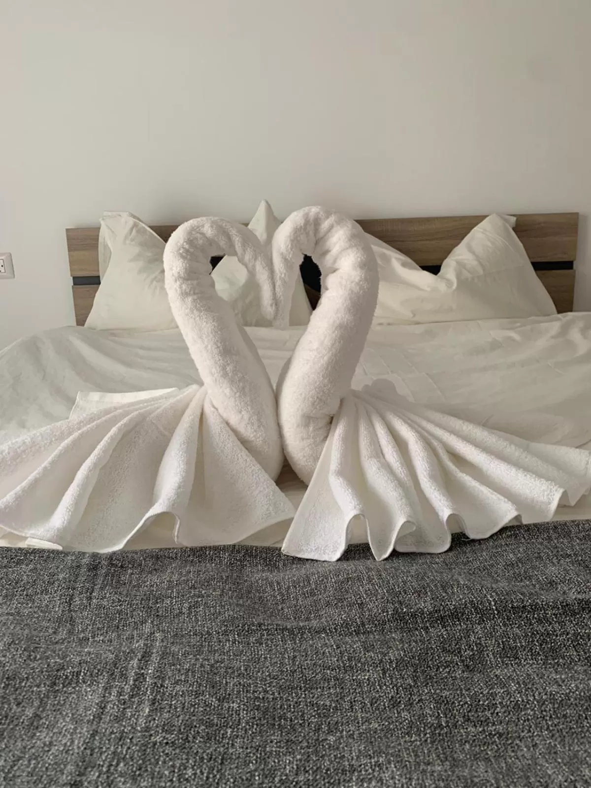 Bed in CENTRAL VIEW Craiova