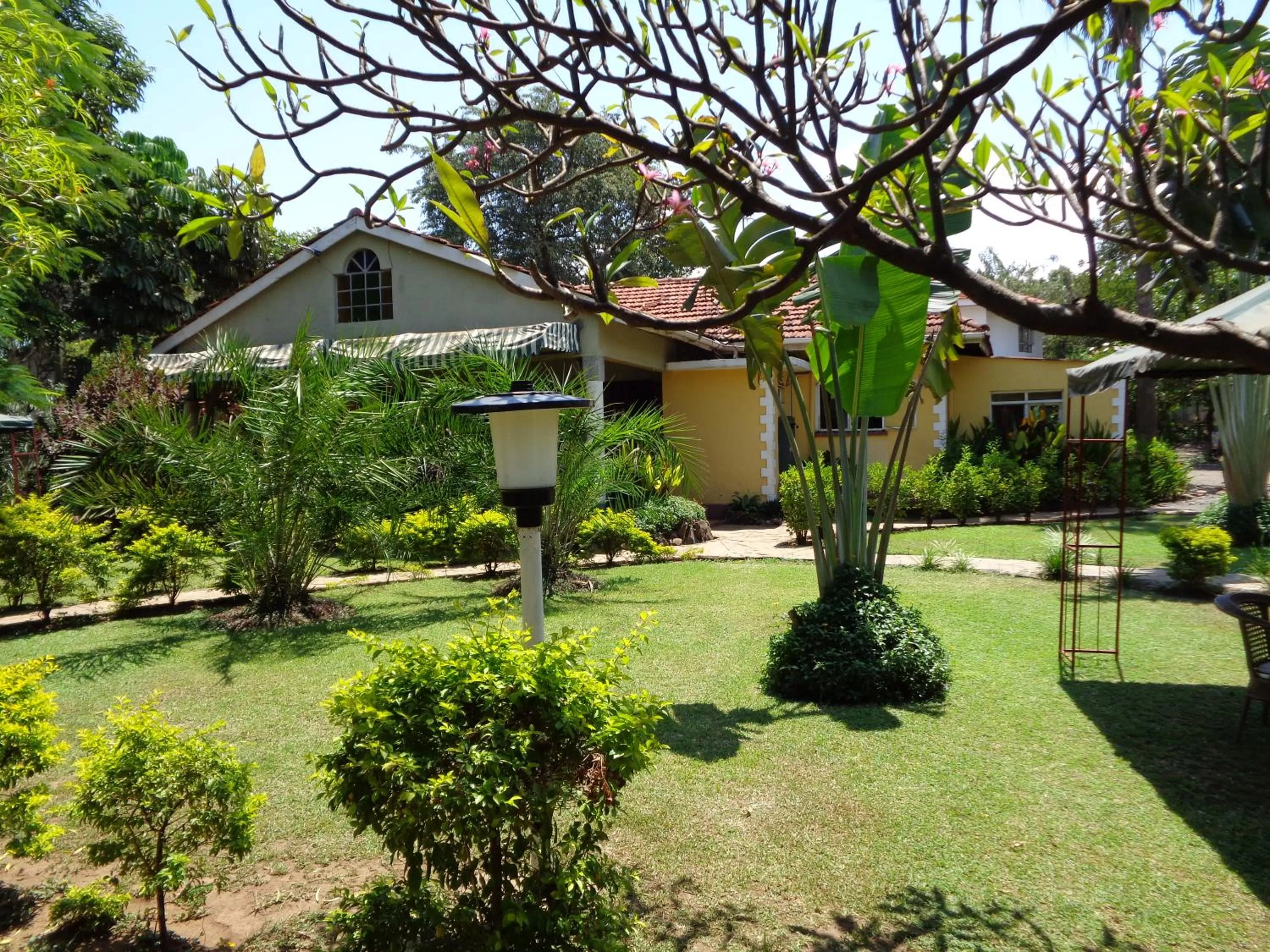 Garden in The Clarice House