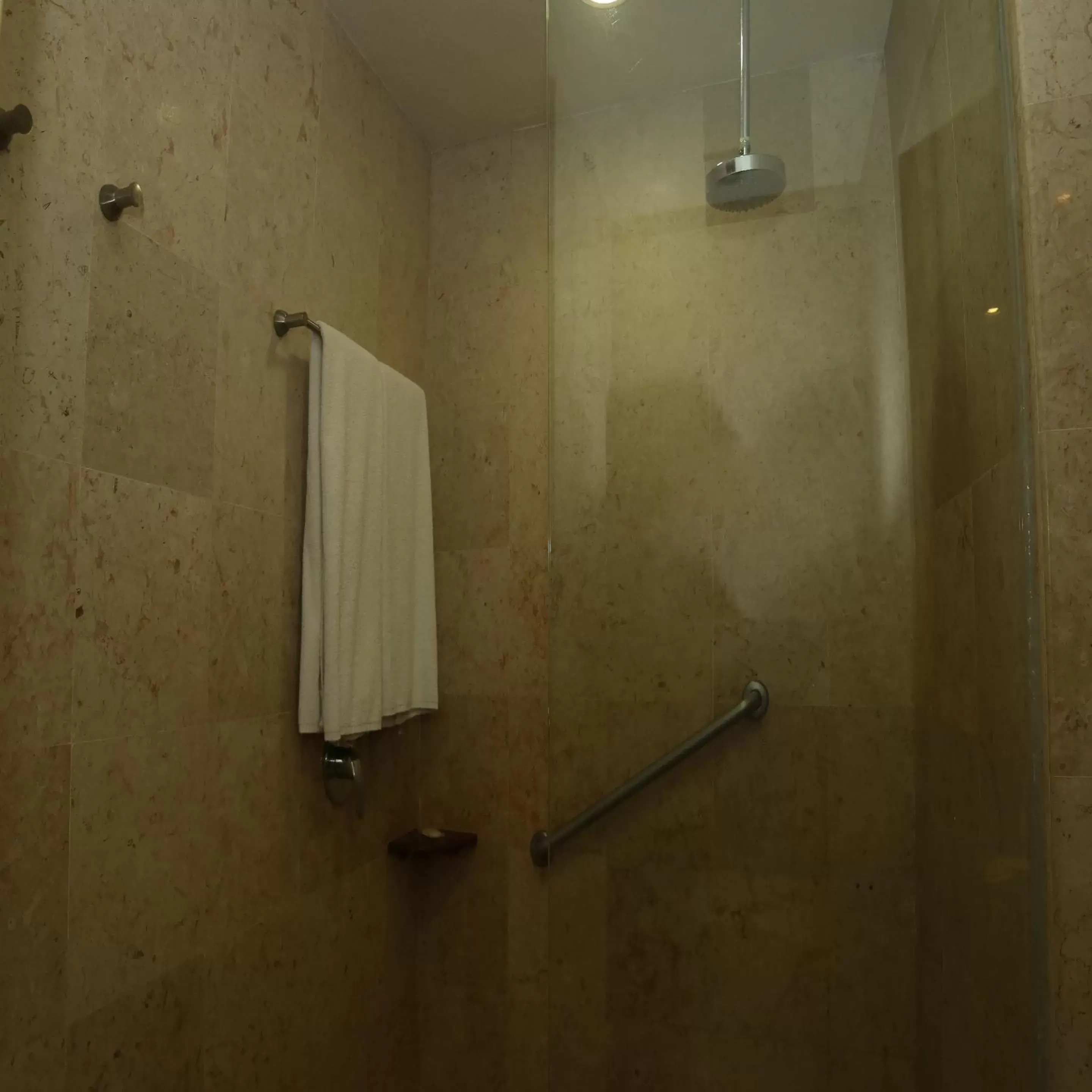 Shower, Bathroom in Real Inn Nuevo Laredo