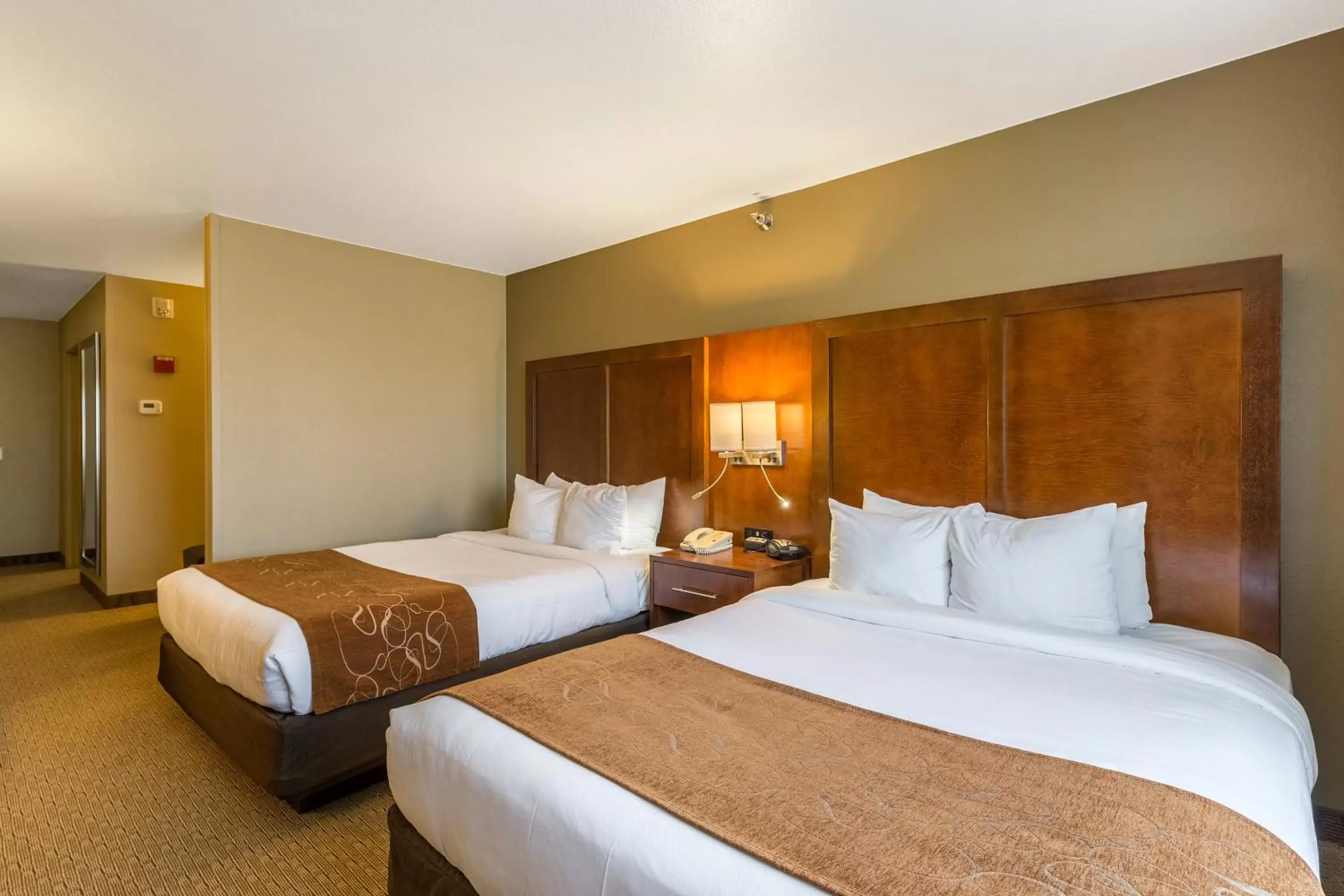 Guests, Bed in Comfort Suites Burlington