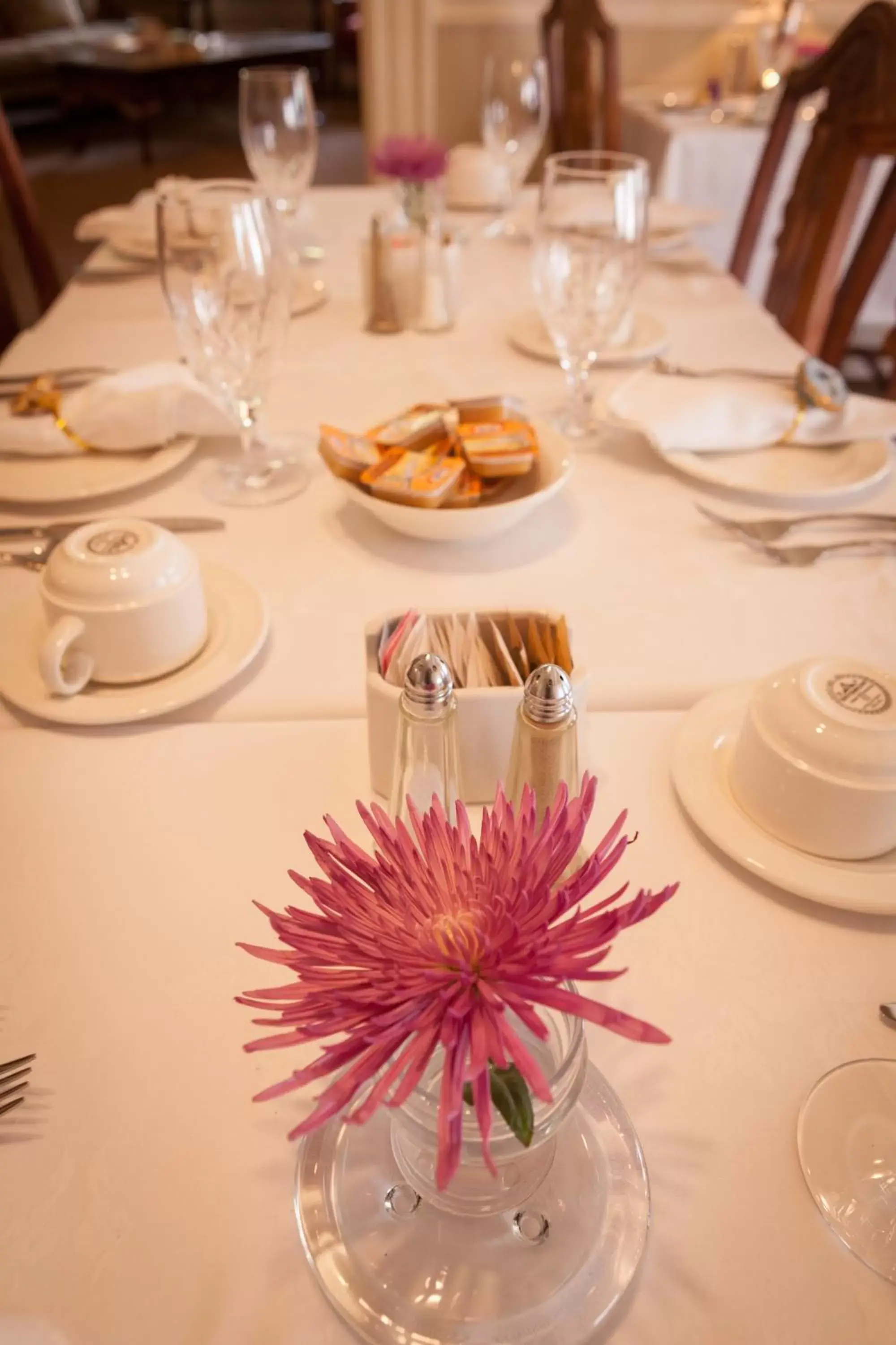 Dining area, Restaurant/Places to Eat in O Canada House Bed & Breakfast