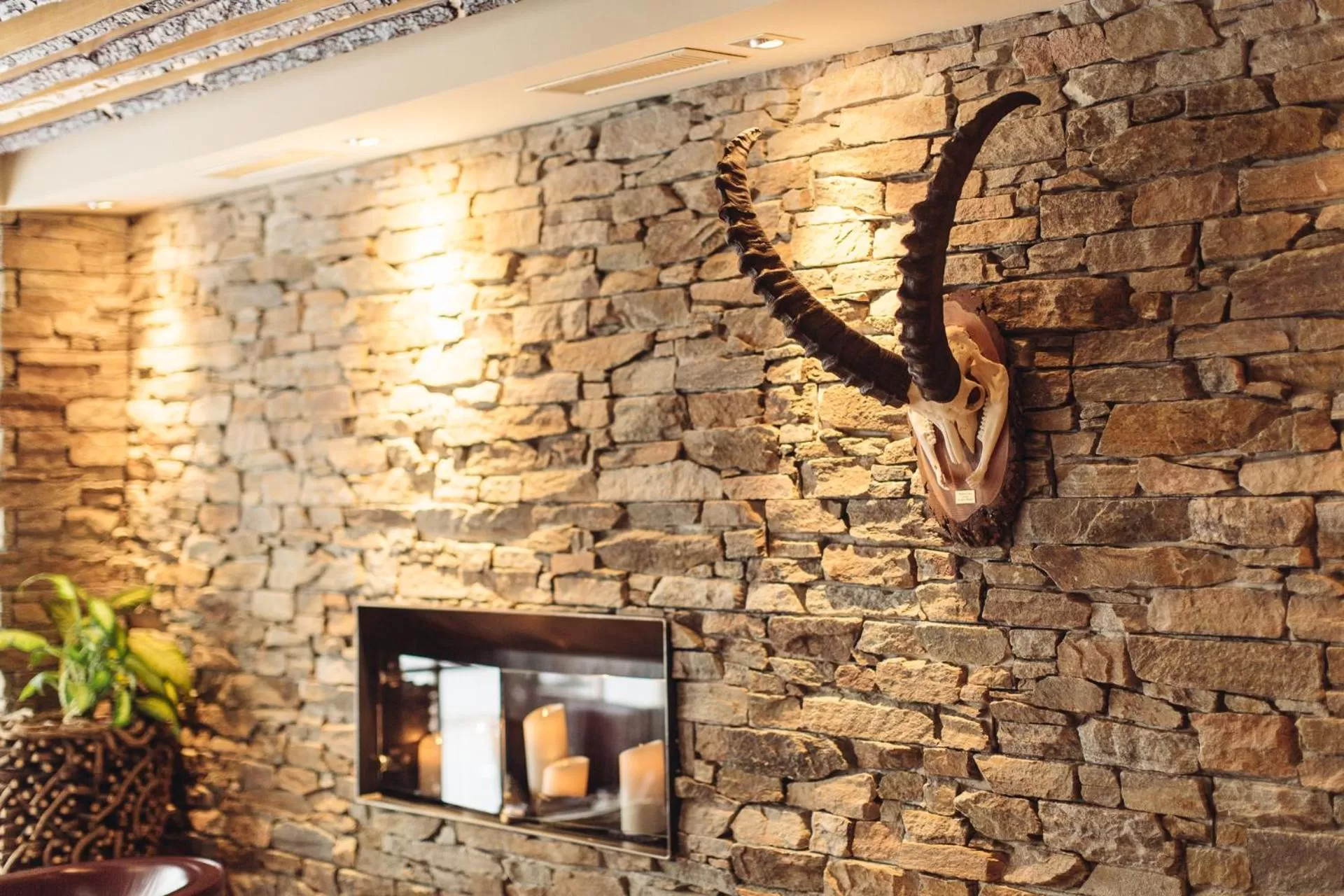 Spa and wellness centre/facilities in Hotel Spescha