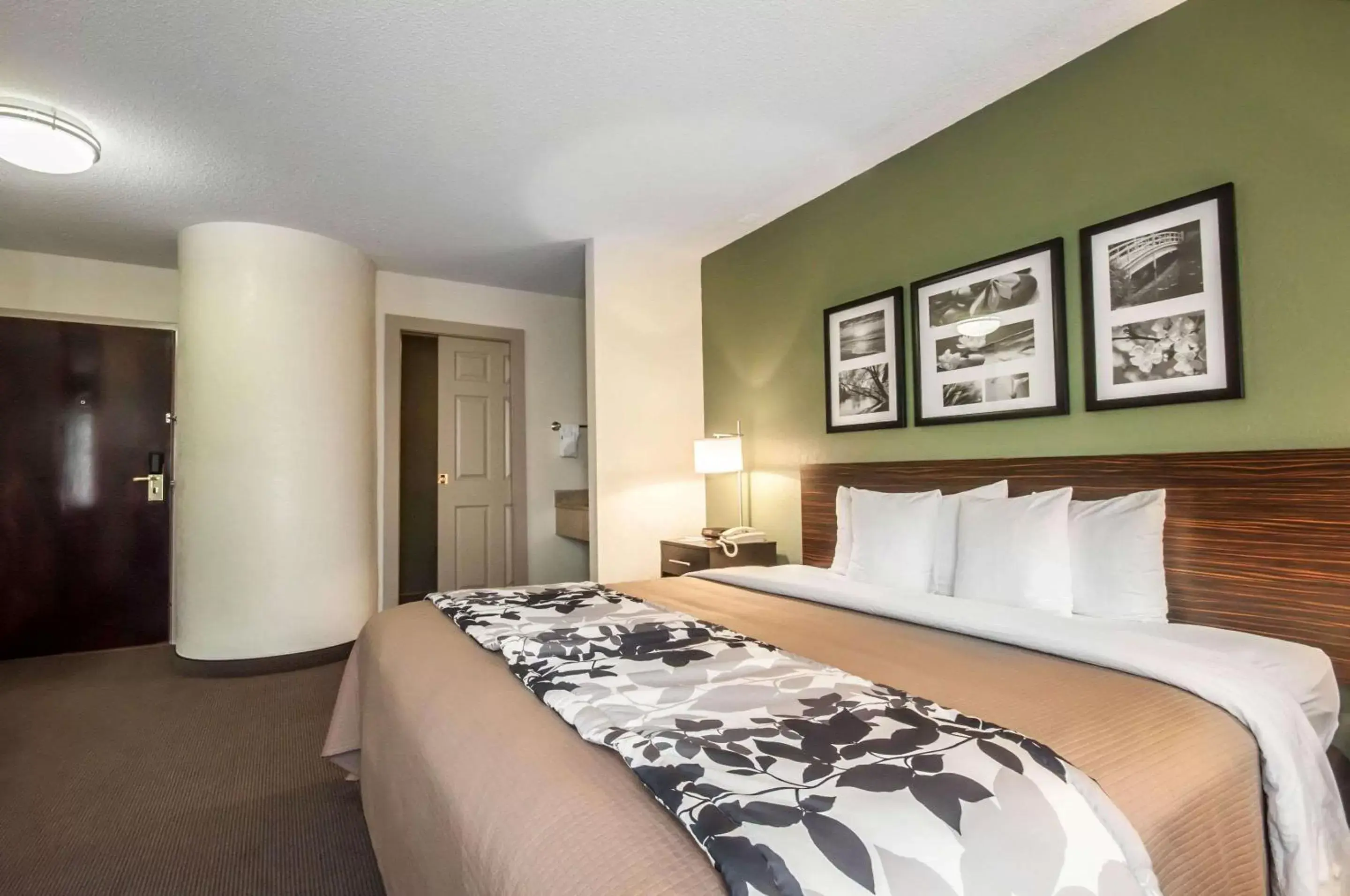 Photo of the whole room, Bed in Sleep Inn Cinnaminson - Philadelphia East Photo of the whole room, Bed in Sleep Inn Cinnaminson - Philadelphia East