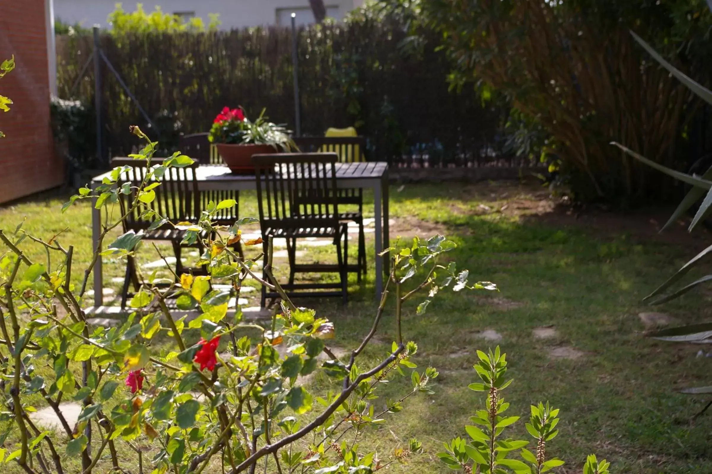 Garden in B&B Inés