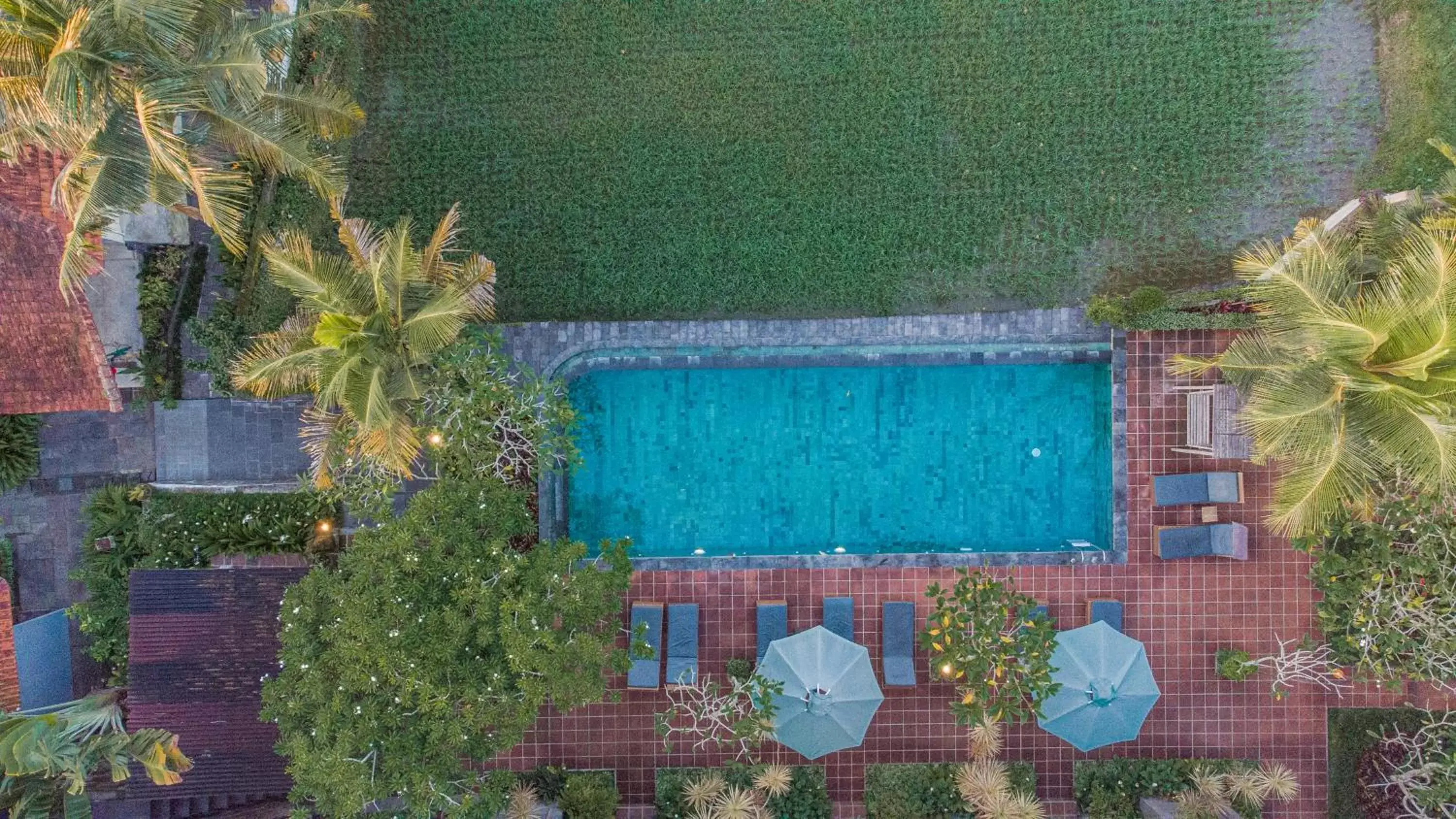 Day, Pool View in Artini Bisma Ubud Hotel