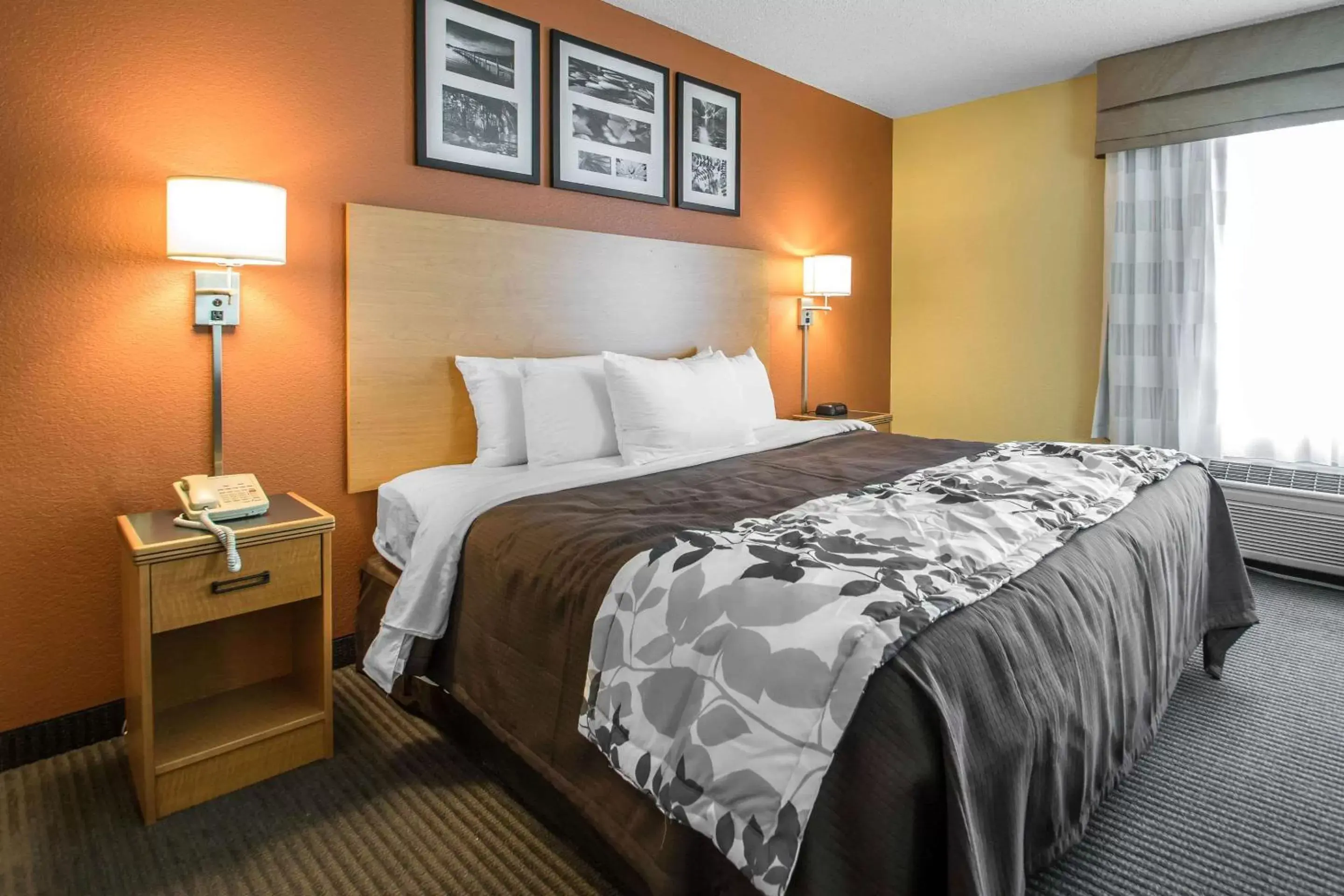 Bedroom, Bed in Sleep Inn & Suites Sheboygan I-43