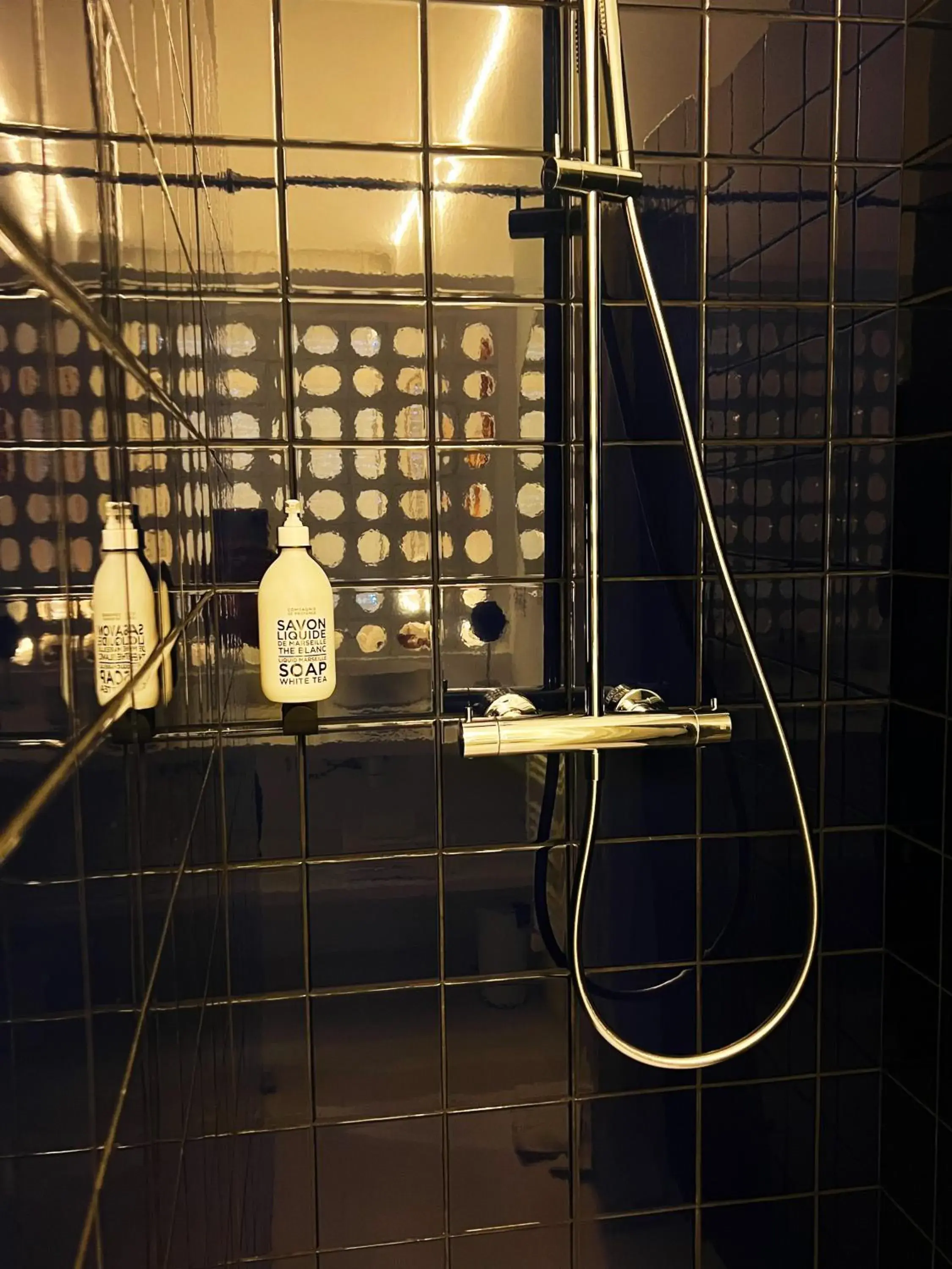 Shower, Bathroom in Hotel La Potiniere