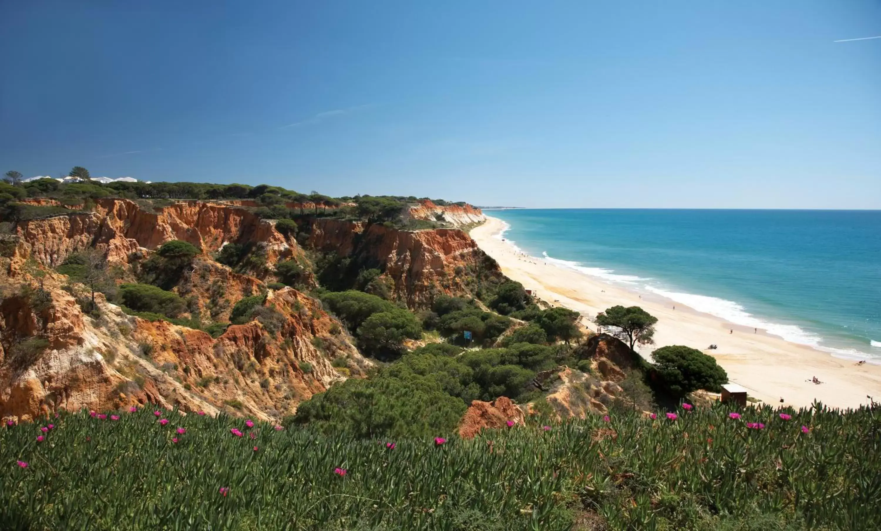 Beach, Bird's-eye View in PortoBay Falesia