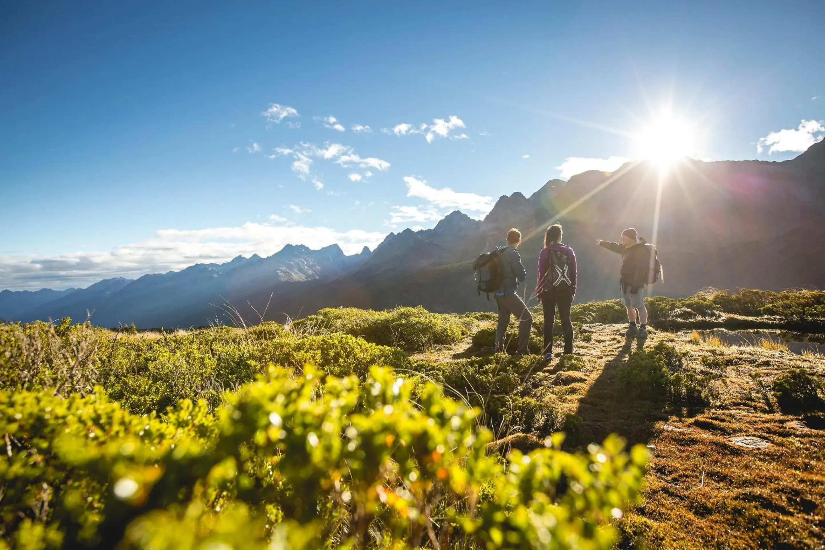 Fiordland Lodge