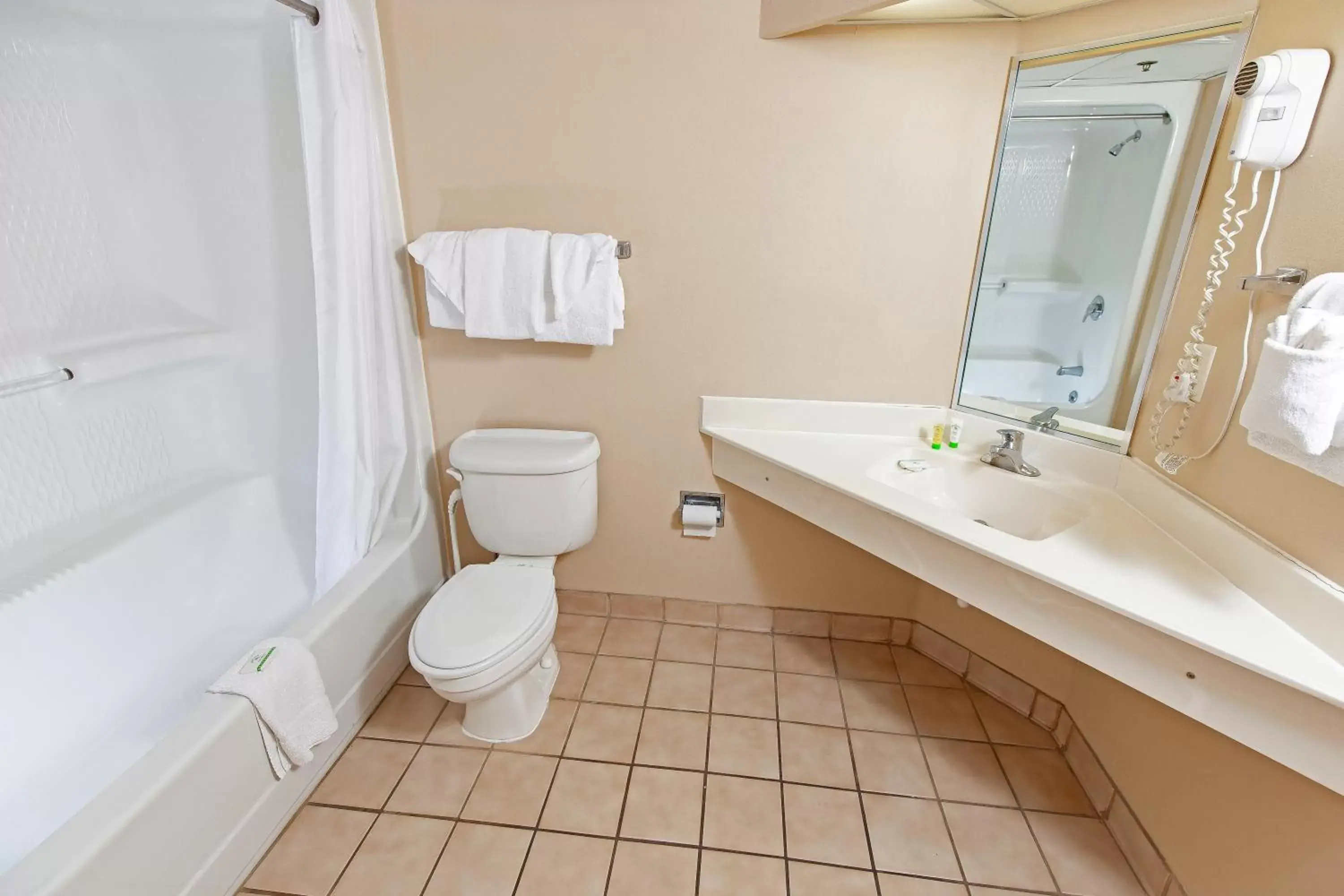 Bathroom in Atlantica Resort