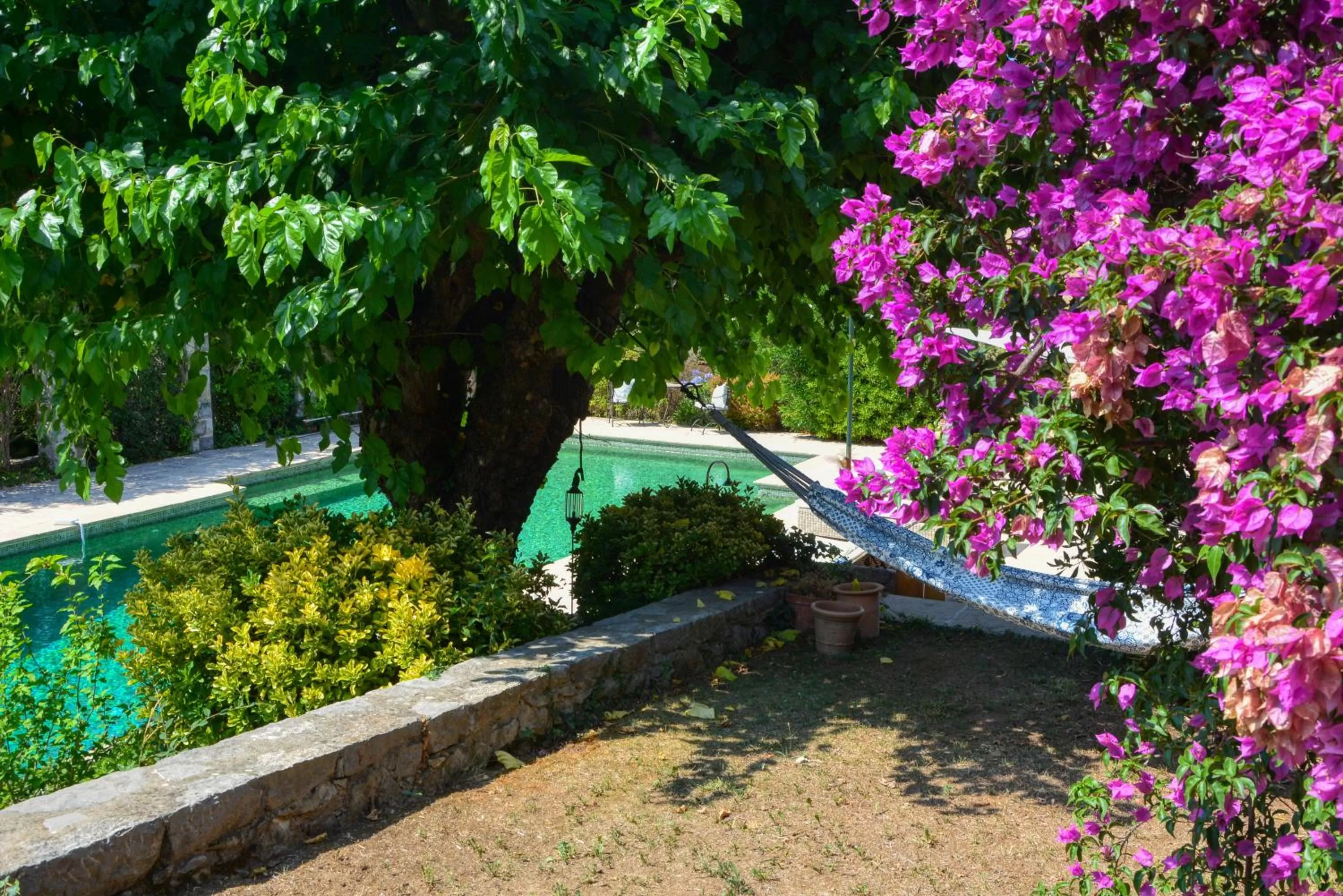 La Maison de Platane B&B