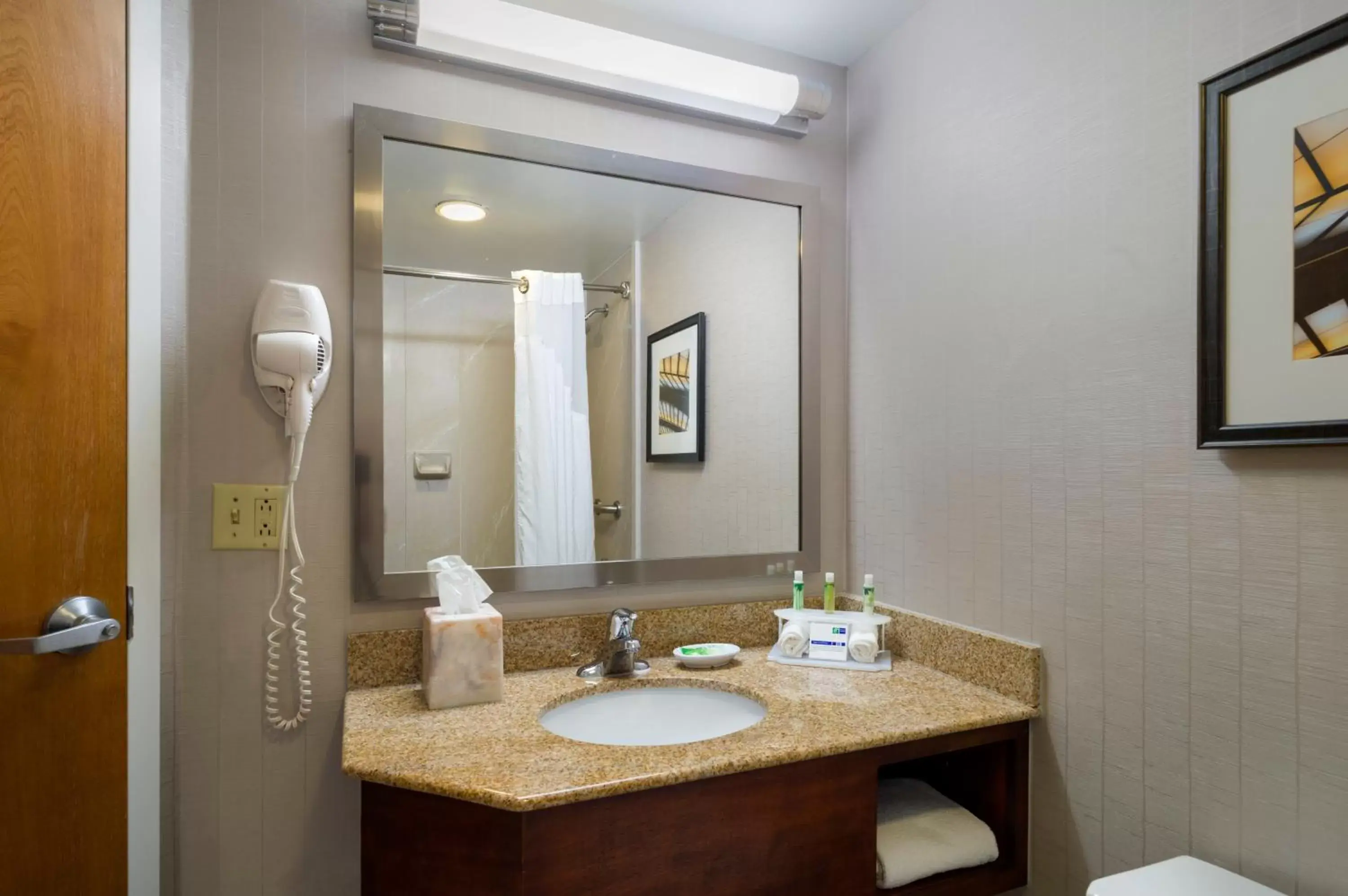 Bathroom in Holiday Inn Express Hershey-Harrisburg Area, an IHG Hotel
