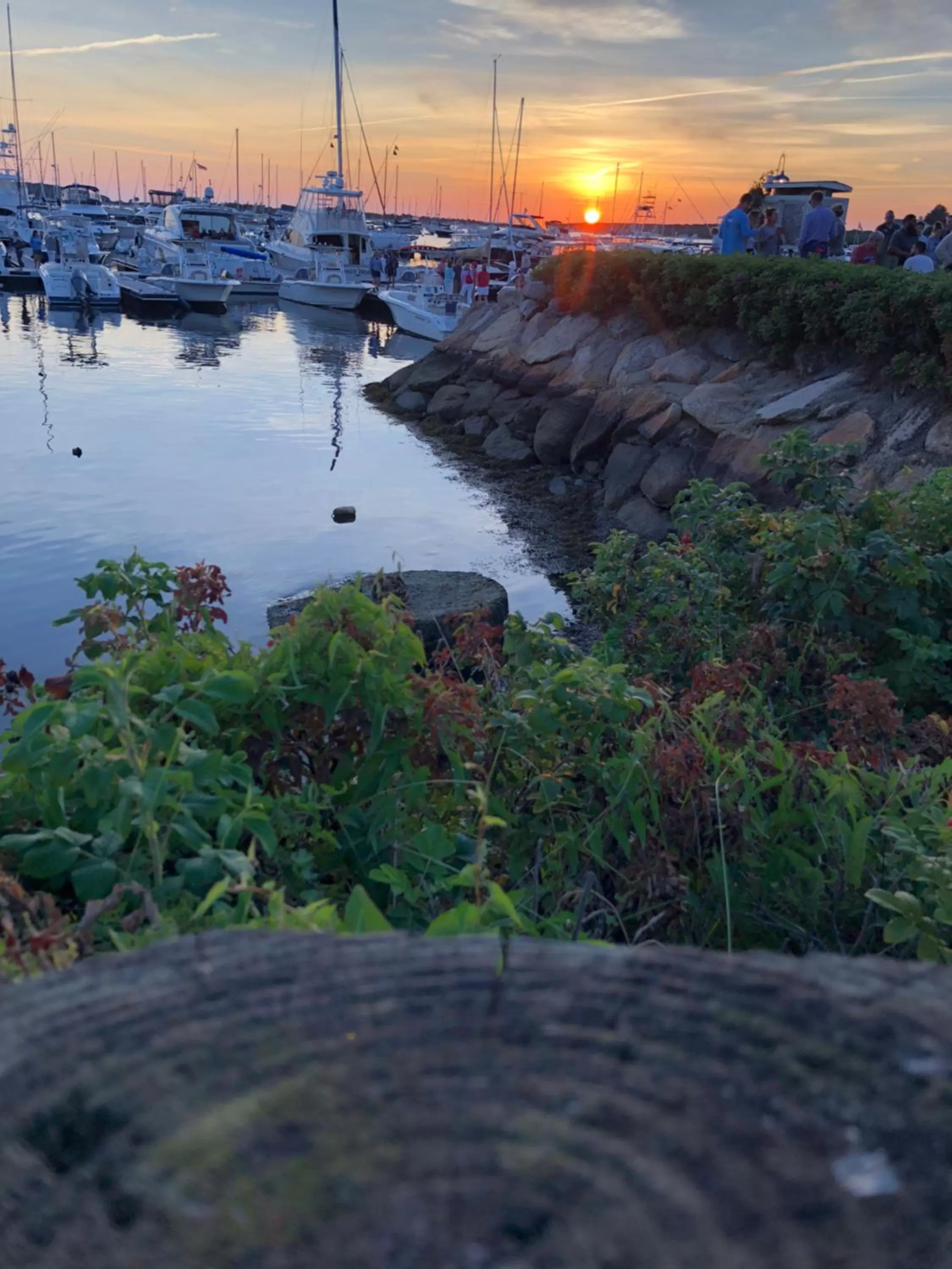 Off site in Frederick William House