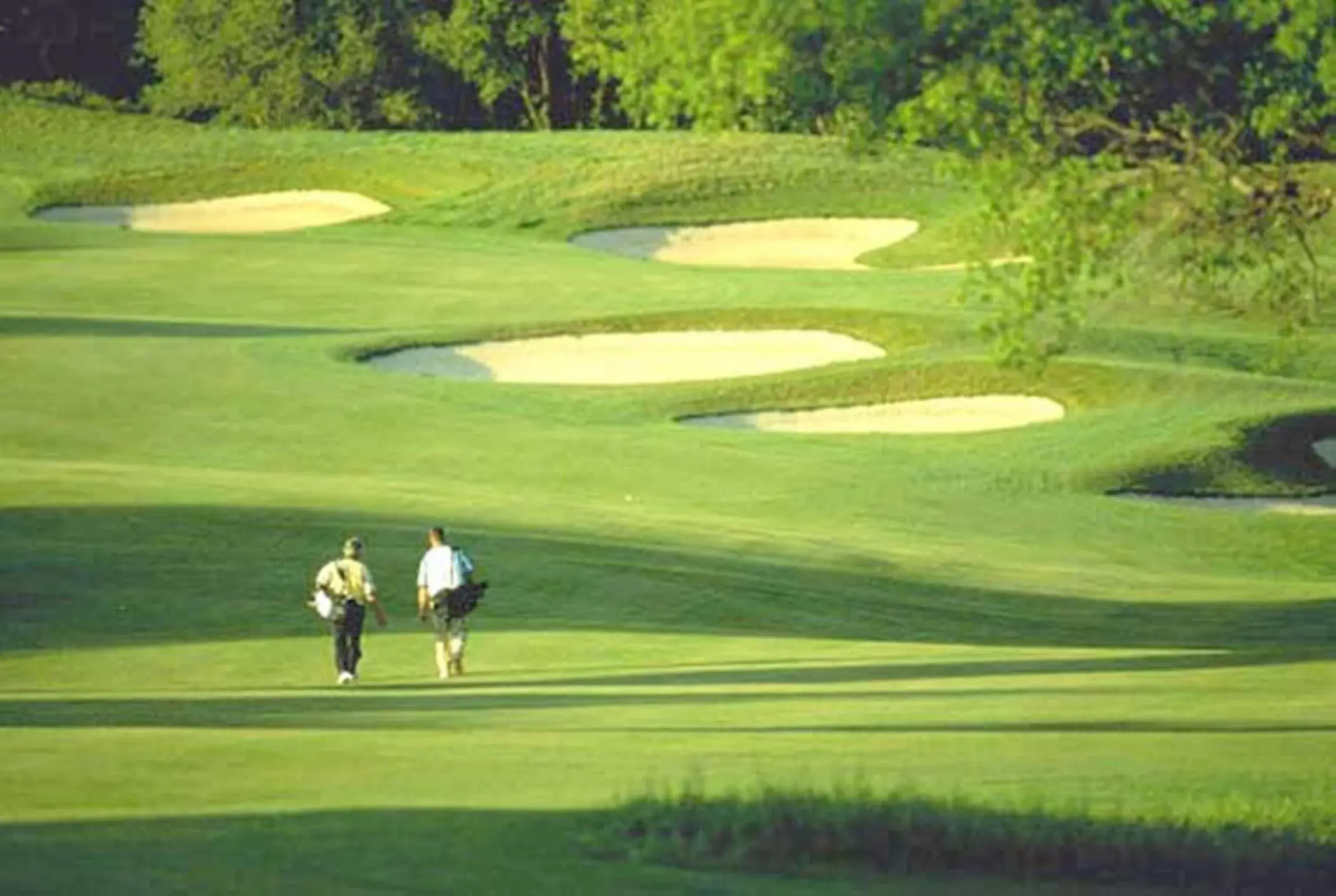 Day, Golf in Hotel Piroga Padova