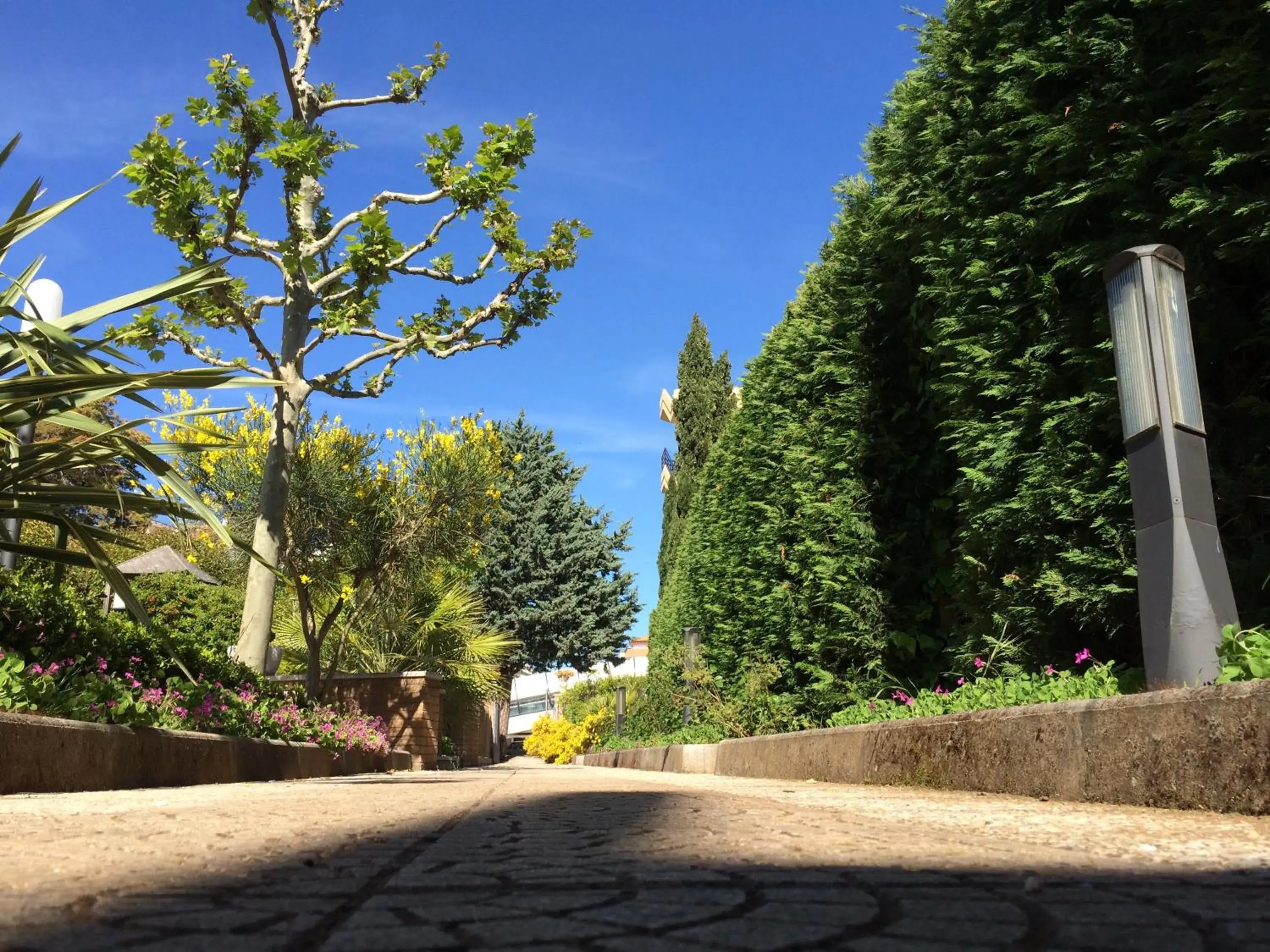 Garden in Hotel Parco Delle Rose