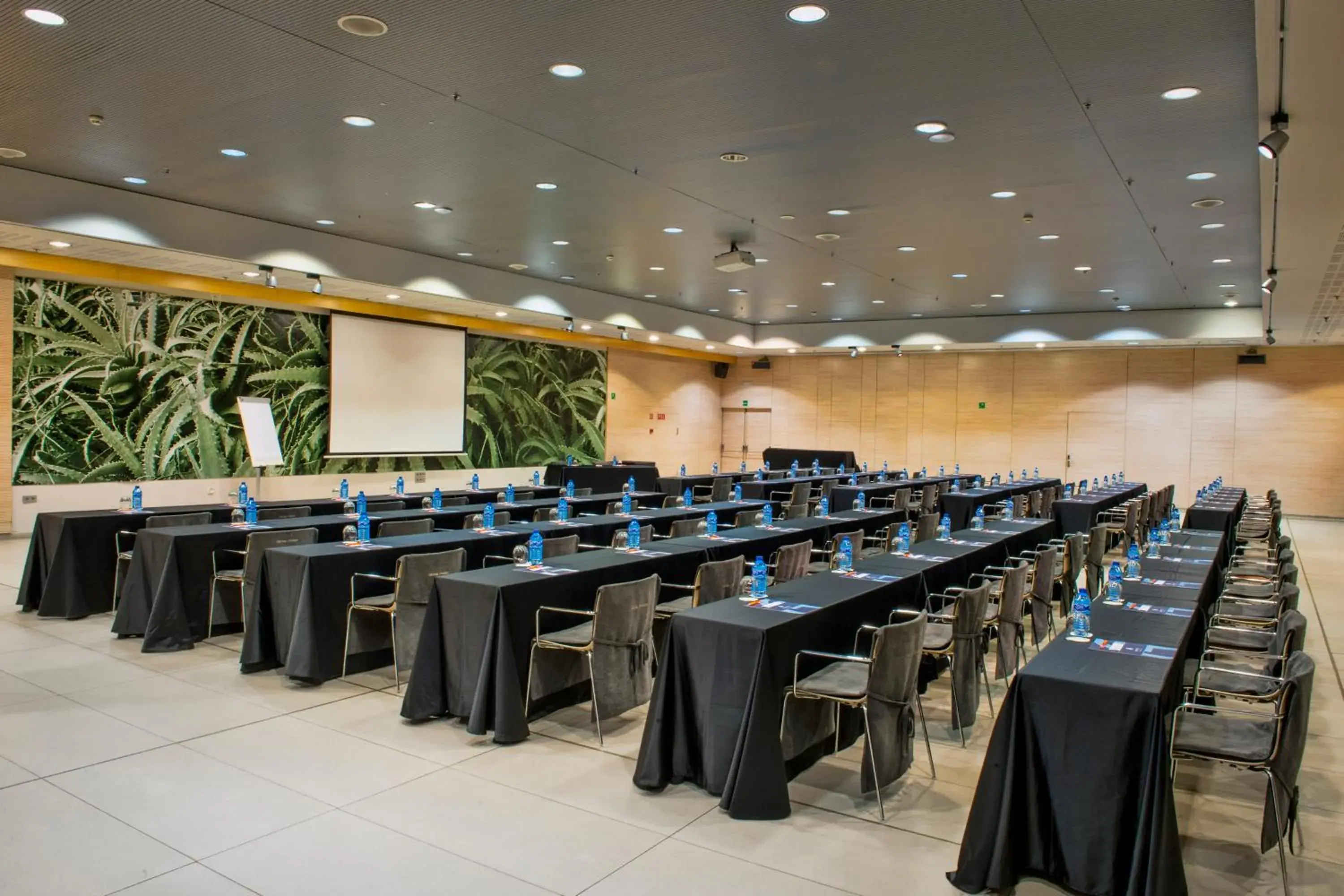 Banquet/Function facilities in Alexandre Fira Congress