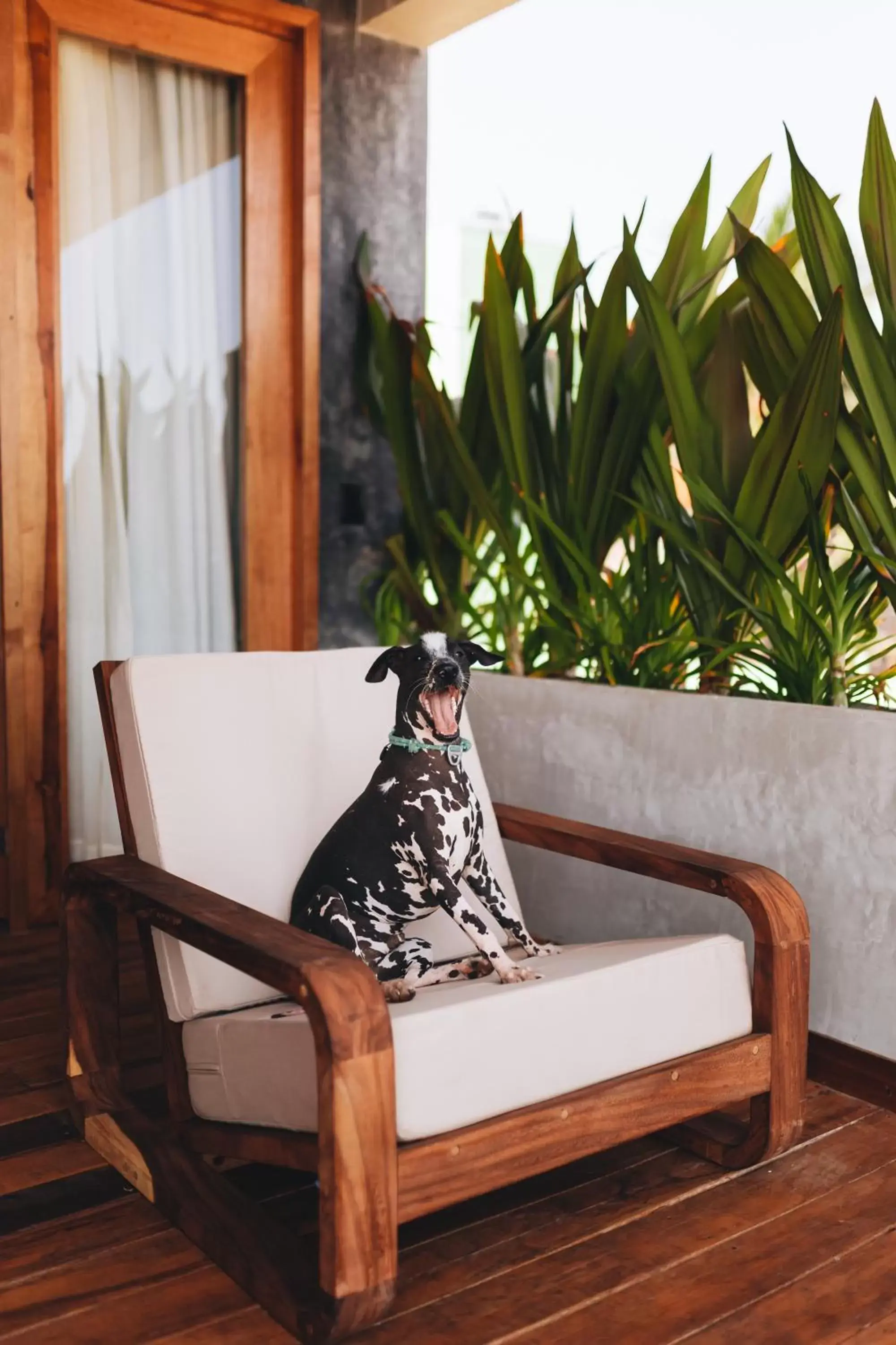 Seating Area in Naked Hotel Zipolite -Adults Only-