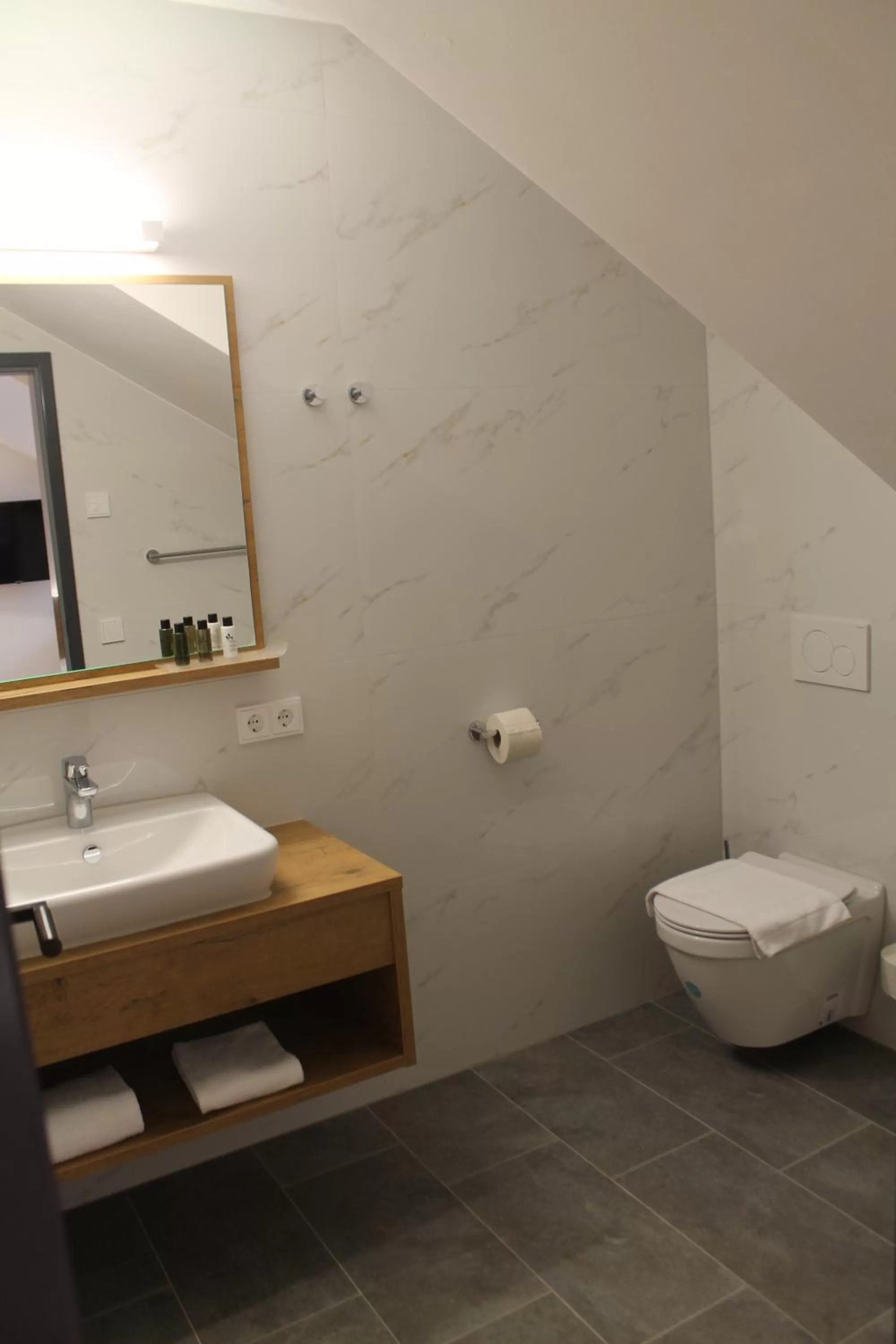 Toilet in Gasthaus Steidl