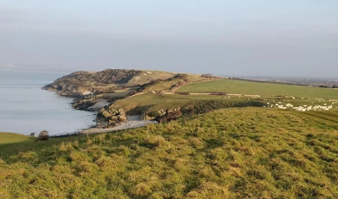 Activities in The York Hotel