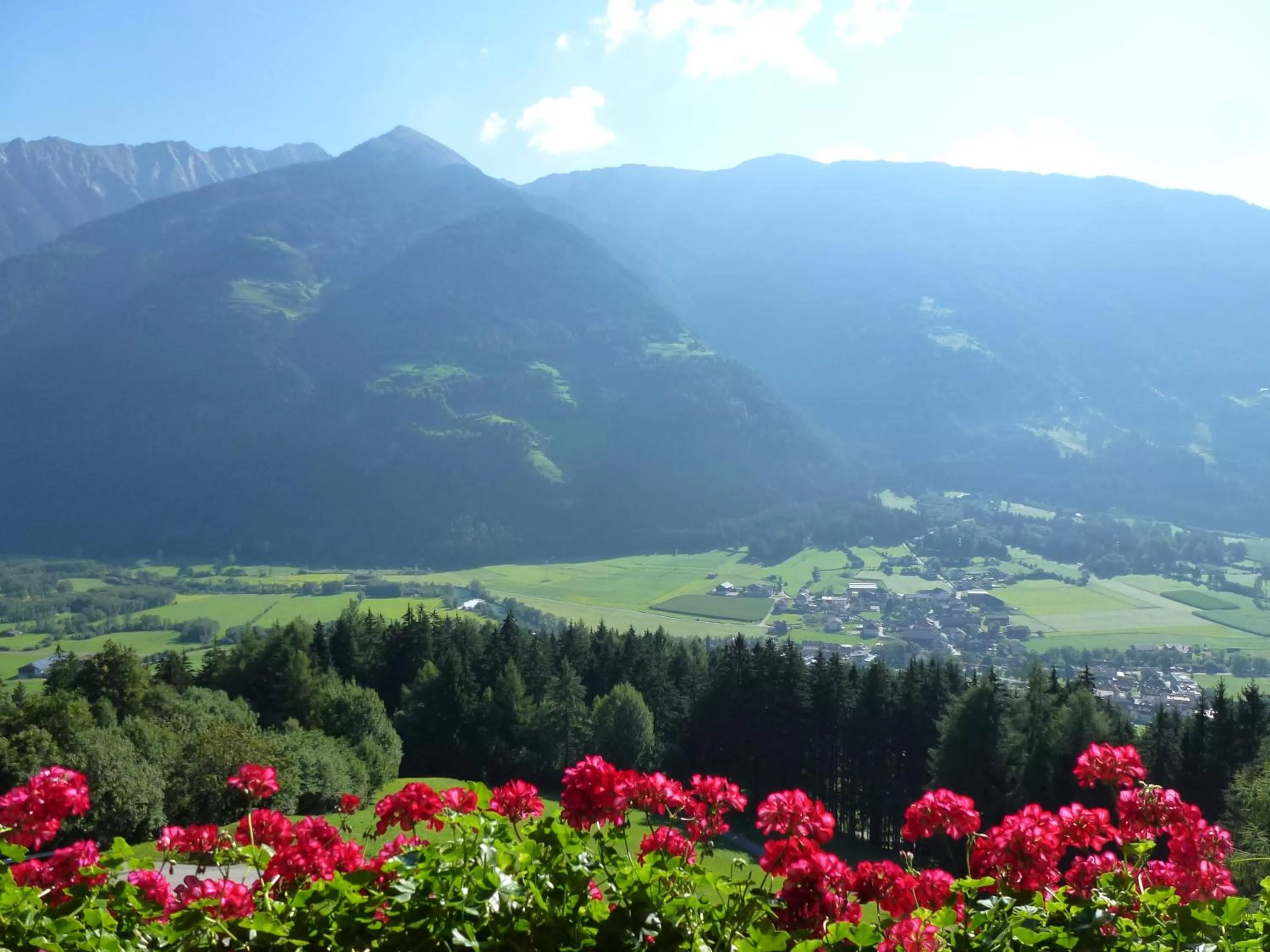 View (from property/room) in Gasthof Bauhof
