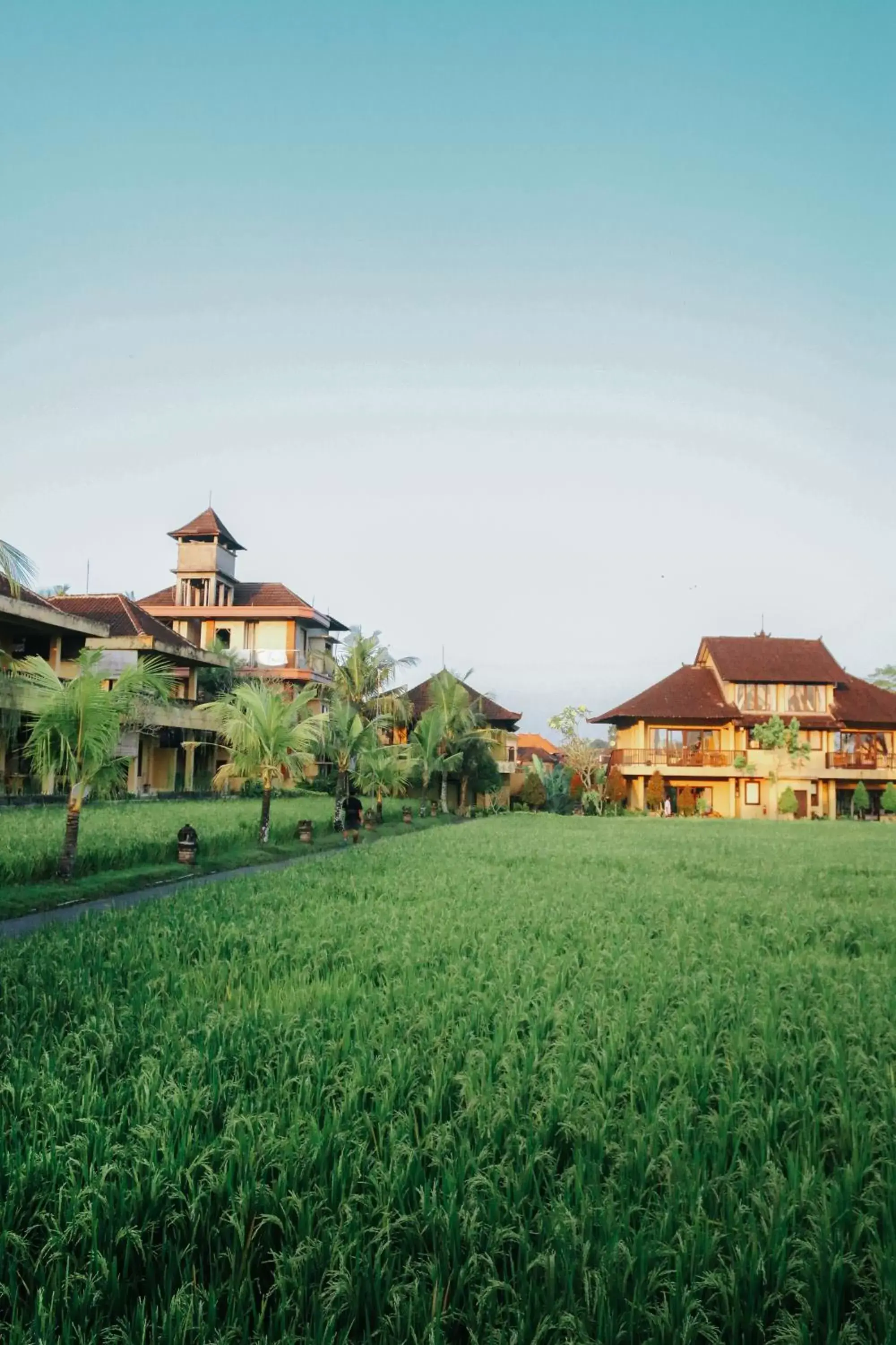 Natural landscape, Property Building in Sri Aksata Ubud Resort by Adyatma Hospitality